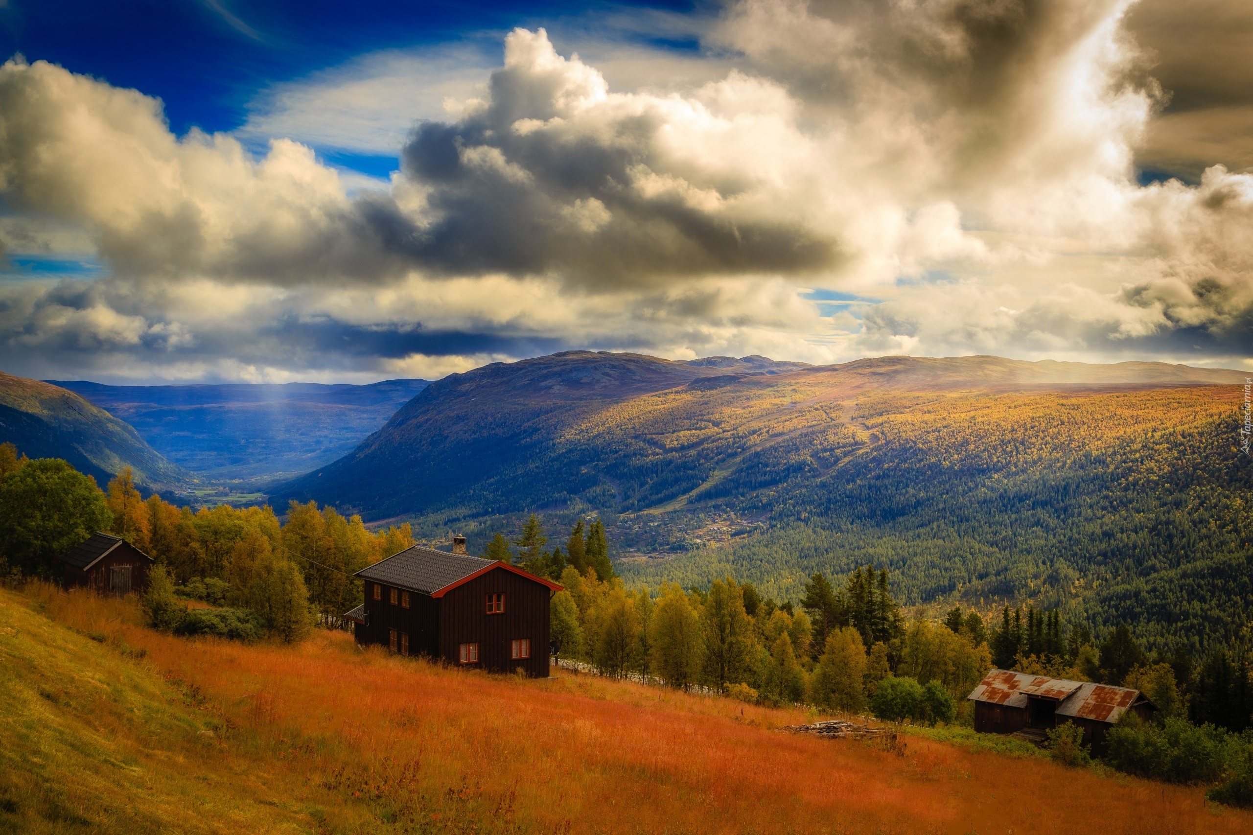 Góry, Pochmurne, Niebo, Domy, Las, Jesień, Norwegia