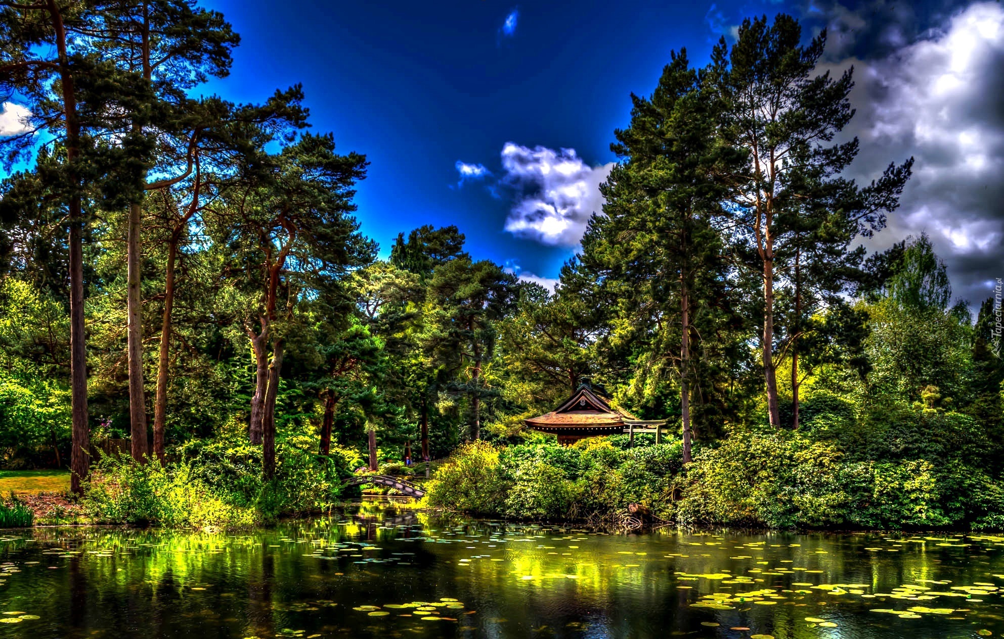 Park, Staw, Mostek,  Anglia