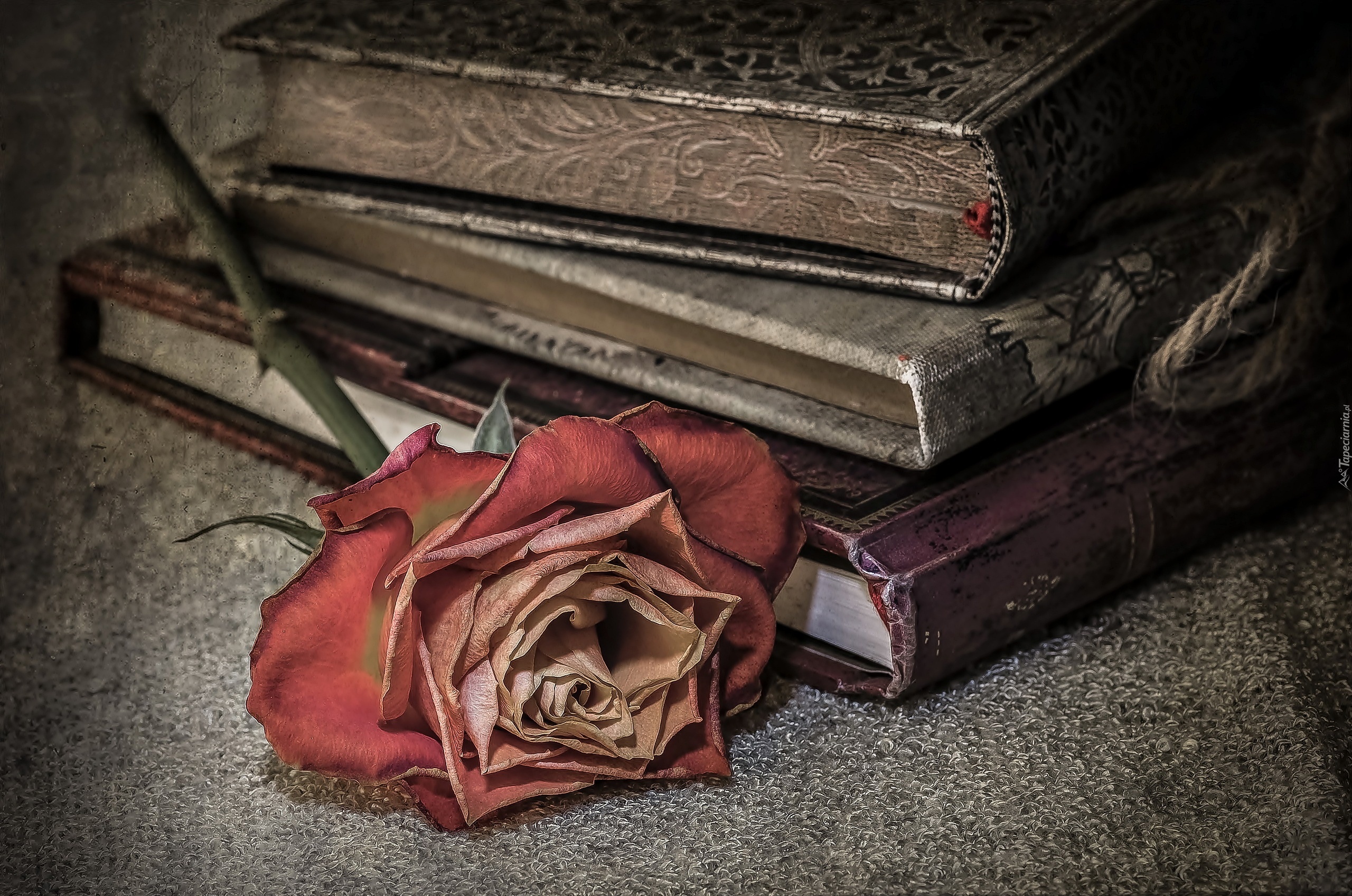 Stare, Książki, Róża