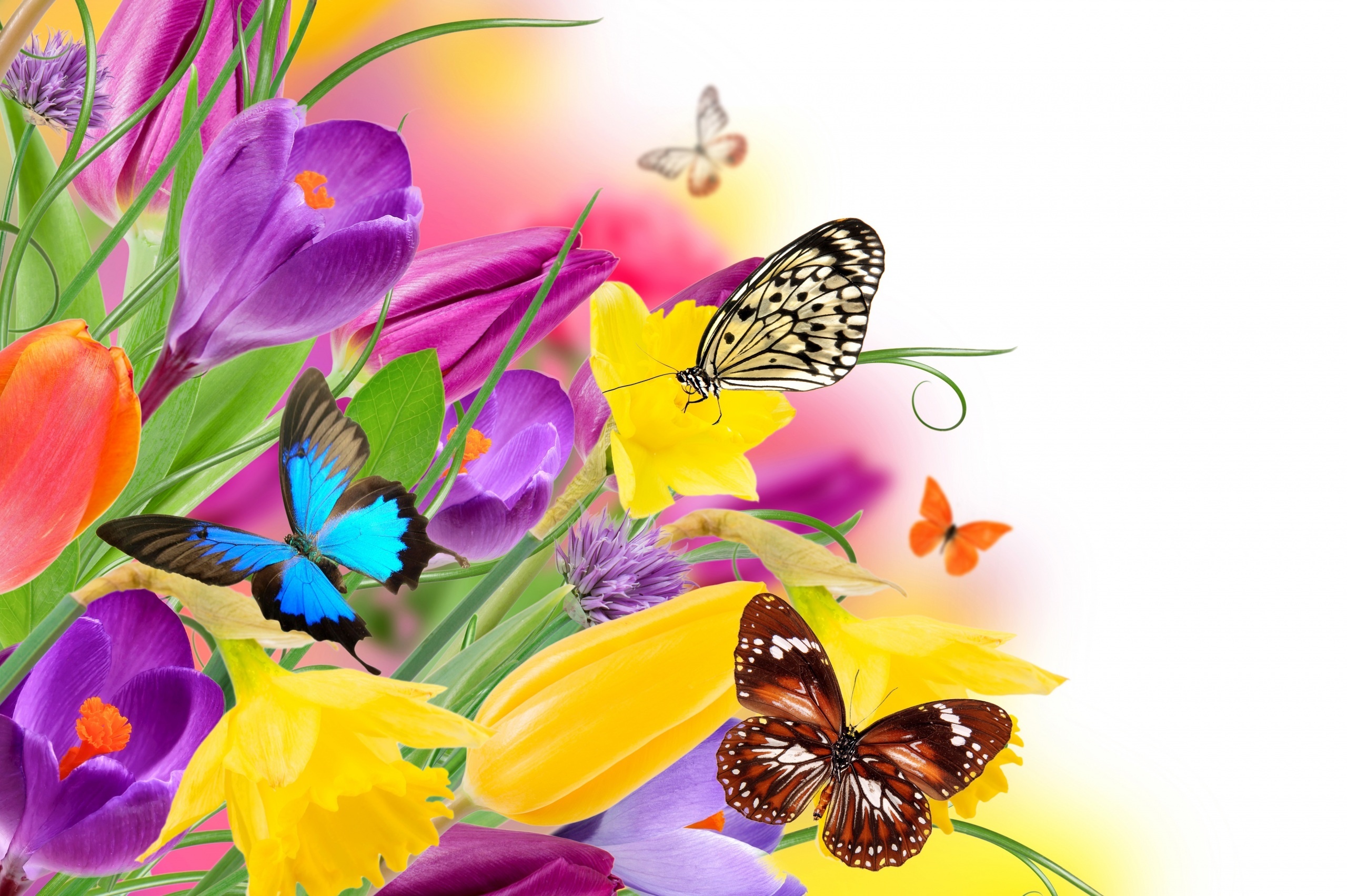 Grafika, Kolorowe, Kwiaty, Motyle