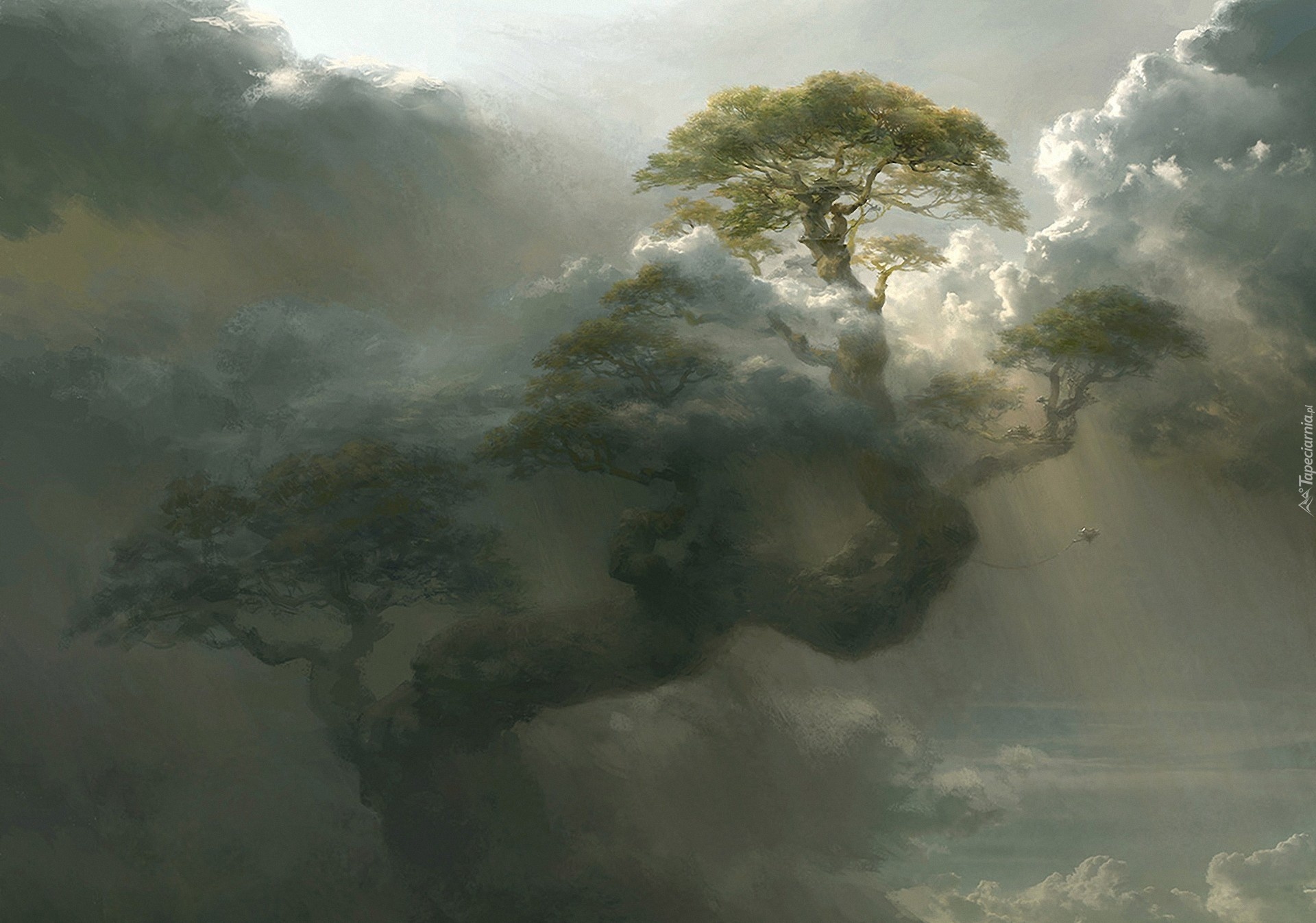 Chmury, Drzewo, Mgła