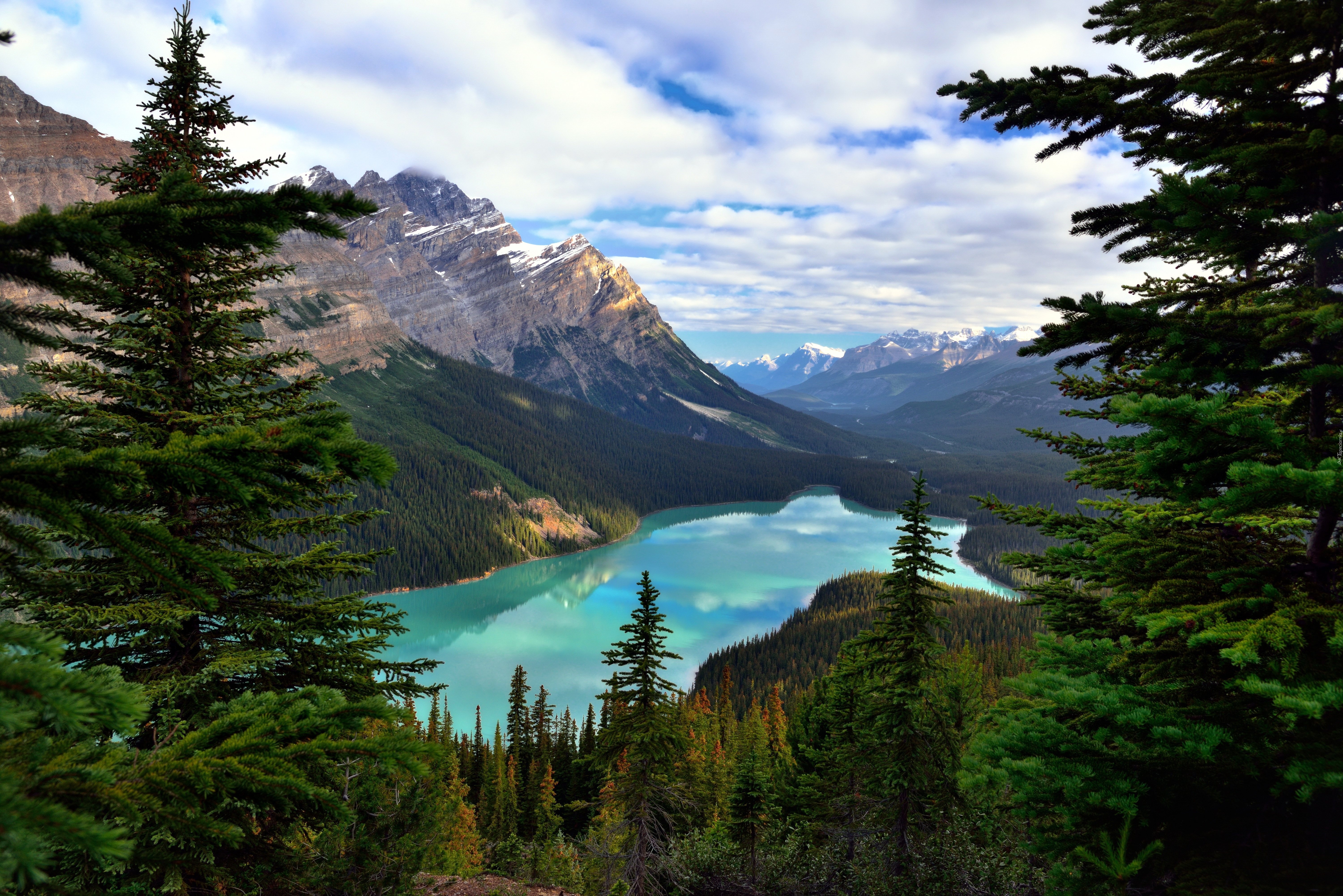 Kanada, Prowincja Alberta, Park Narodowy Banff, Jezioro Moraine, Drzewa, Góry, Świerki