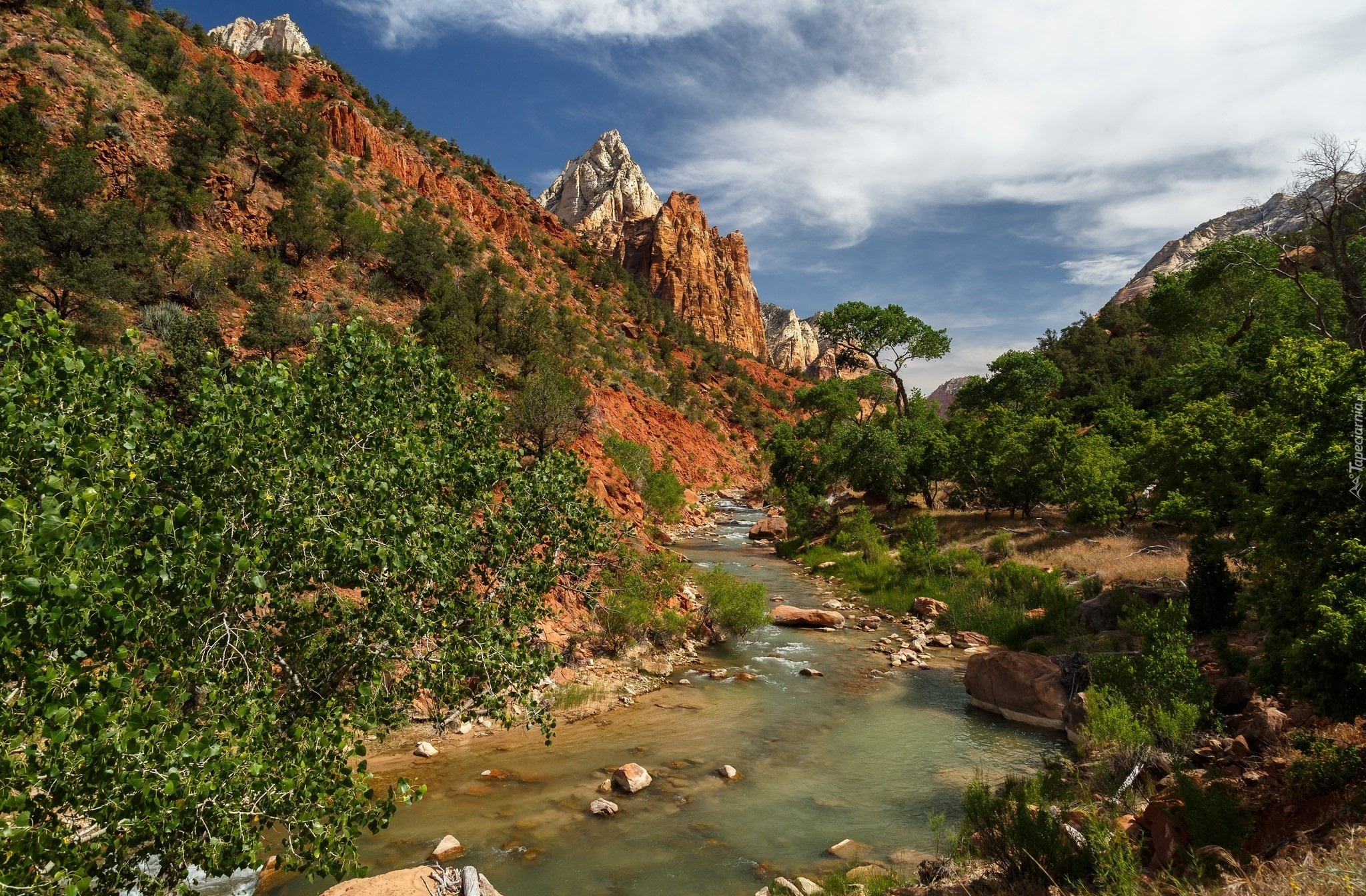 Stany Zjednoczone, Stan Utah, Park Narodowy Zion, Góra Watchman, Rzeka Virgin River, Drzewa, Góry