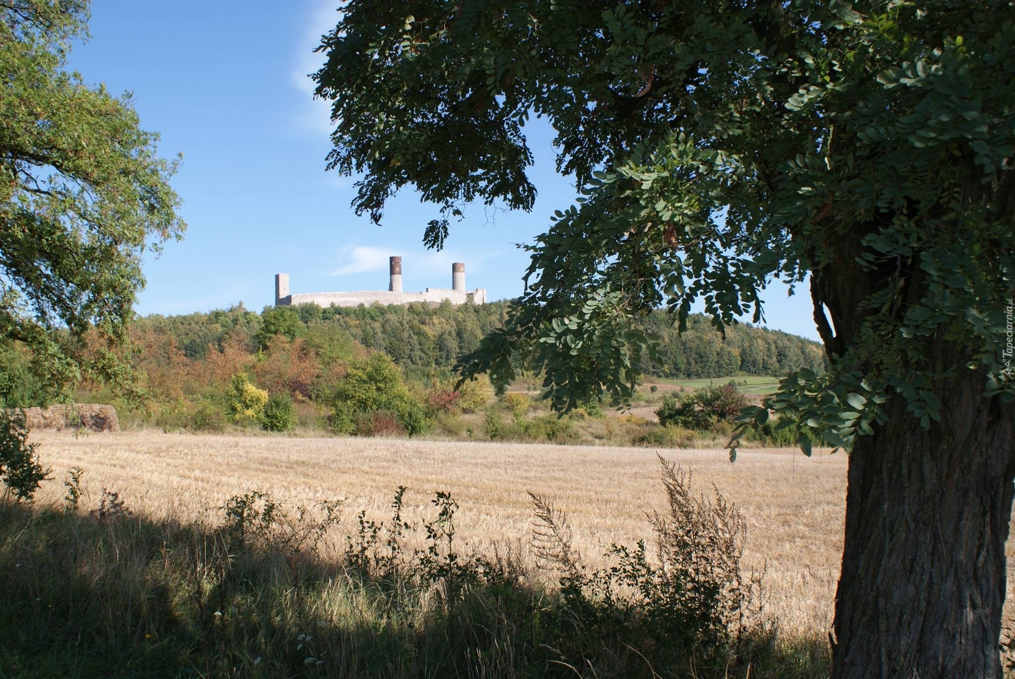 Ruiny, Zamku, Las, Pola, Chęciny