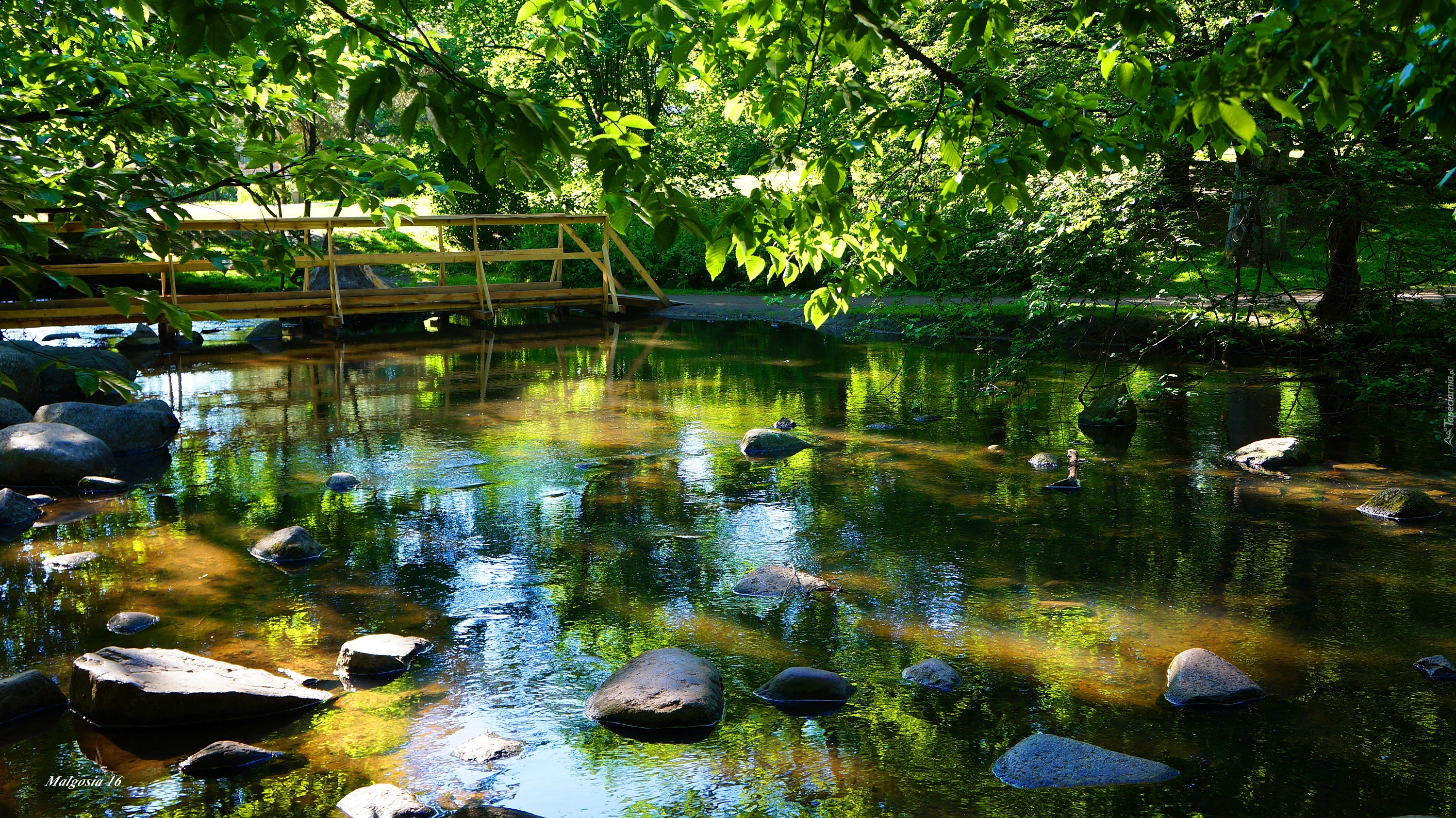 Polska, Gdańsk, Park Oliwski im. Adama Mickiewicza, Mostek, Strumyk