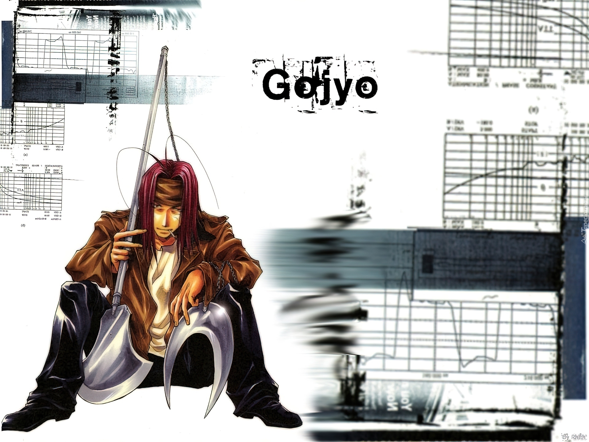 Saiyuki, wykresy