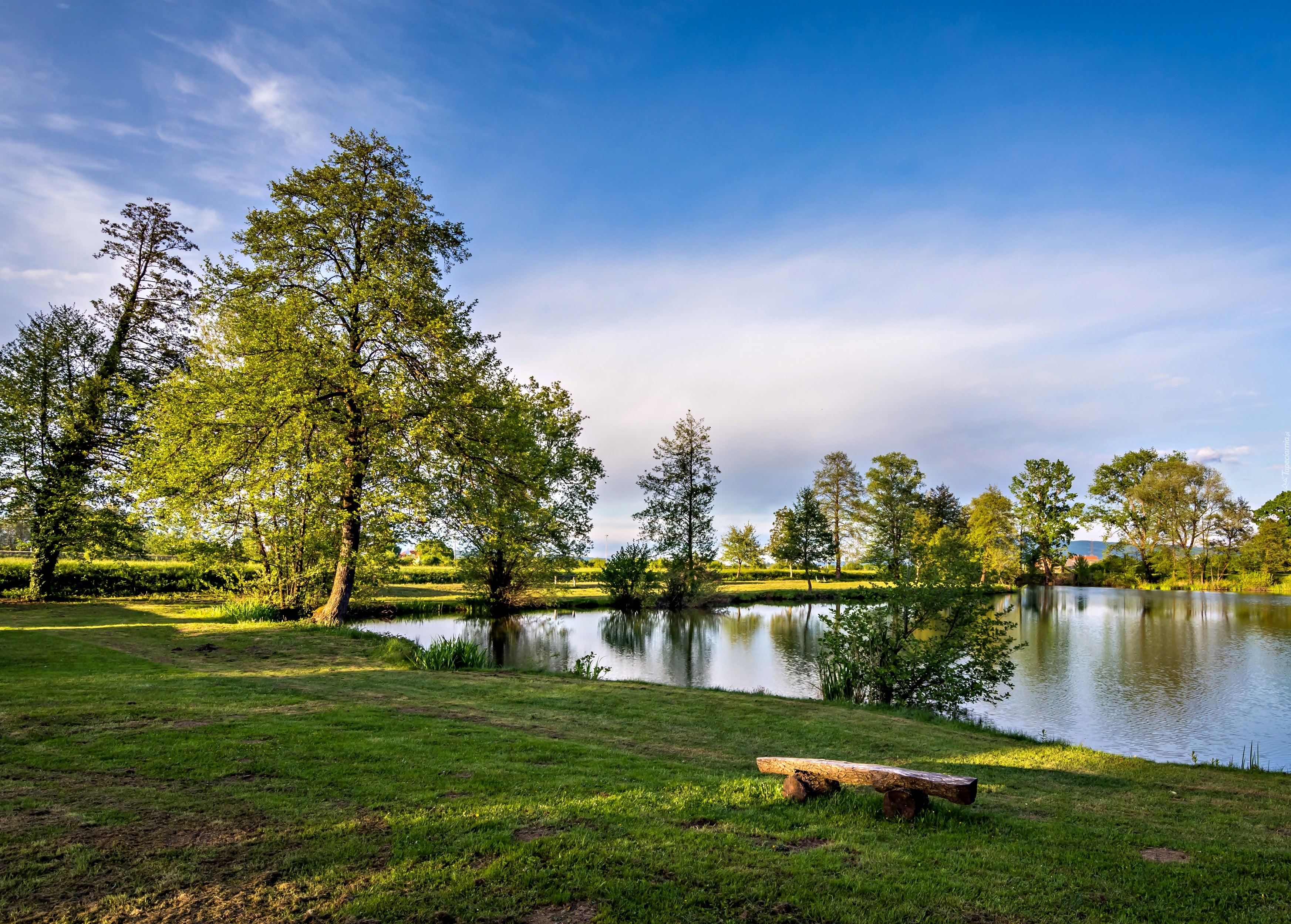 Park, Staw, Przebijające, Światło, Zagrzeb