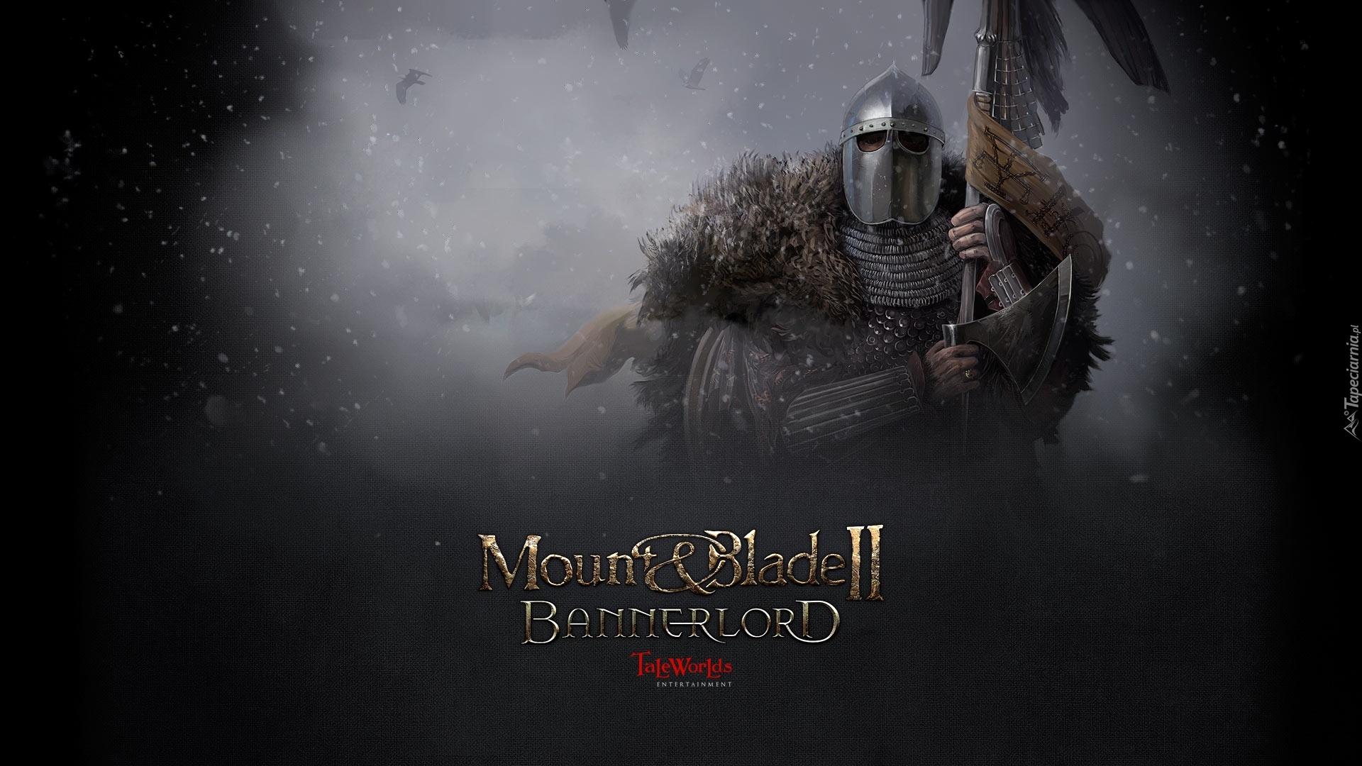 Mount and Blade II Bannerlord, Rycerz, Topór, Zima