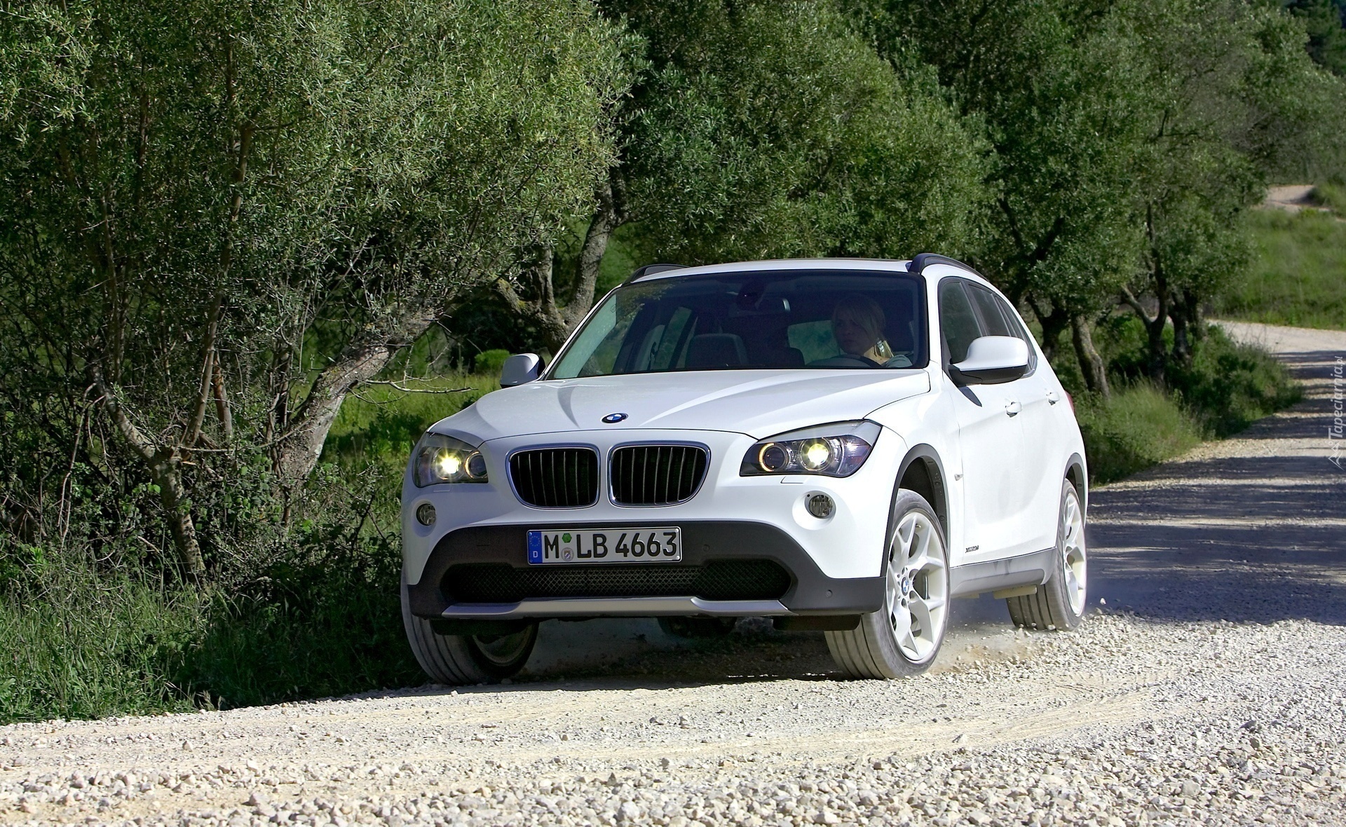 BMW, X1, Samochód