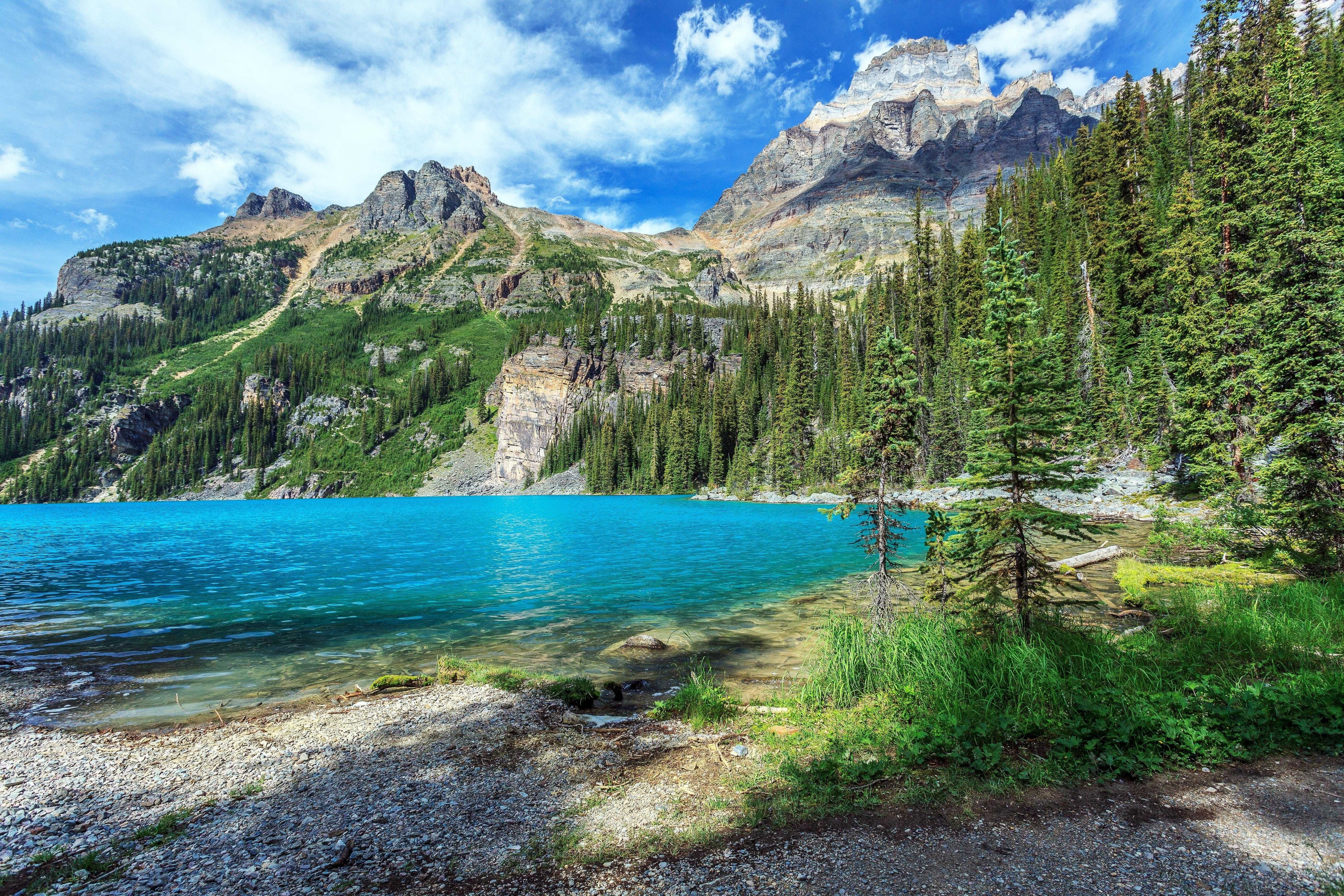 Kanada, Park Narodowy Yoho, Jezioro OHara, Góry, Drzewa