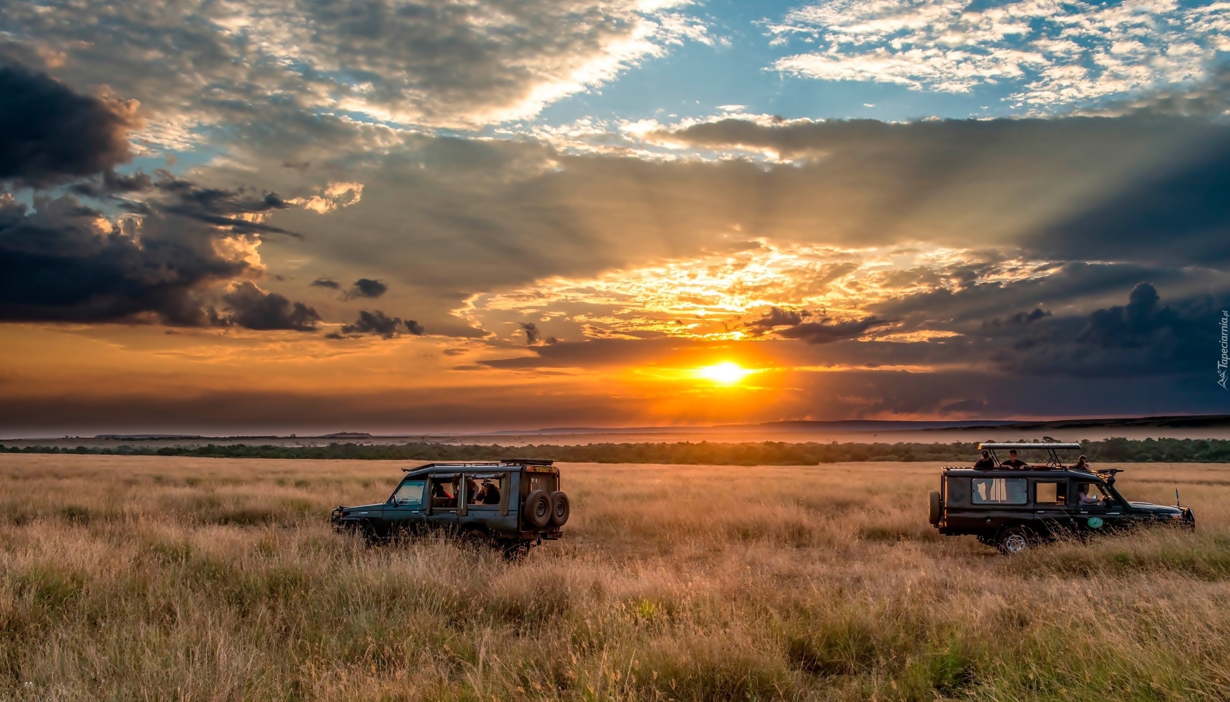 Pole, Afryka, Safari, Zachód słońca, Samochody