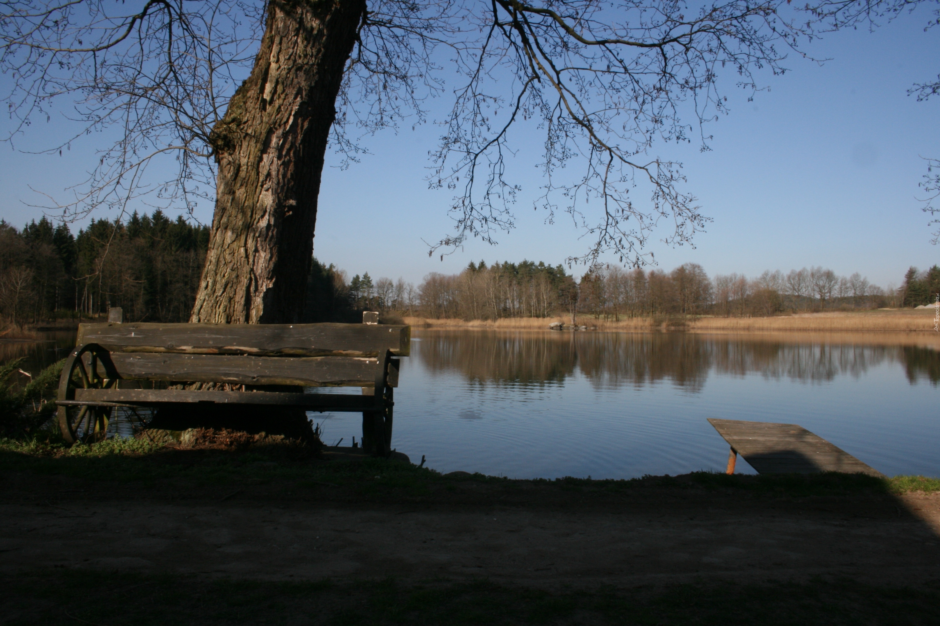 Staw, Ławka, Drzewo, Jesień, Odbicie