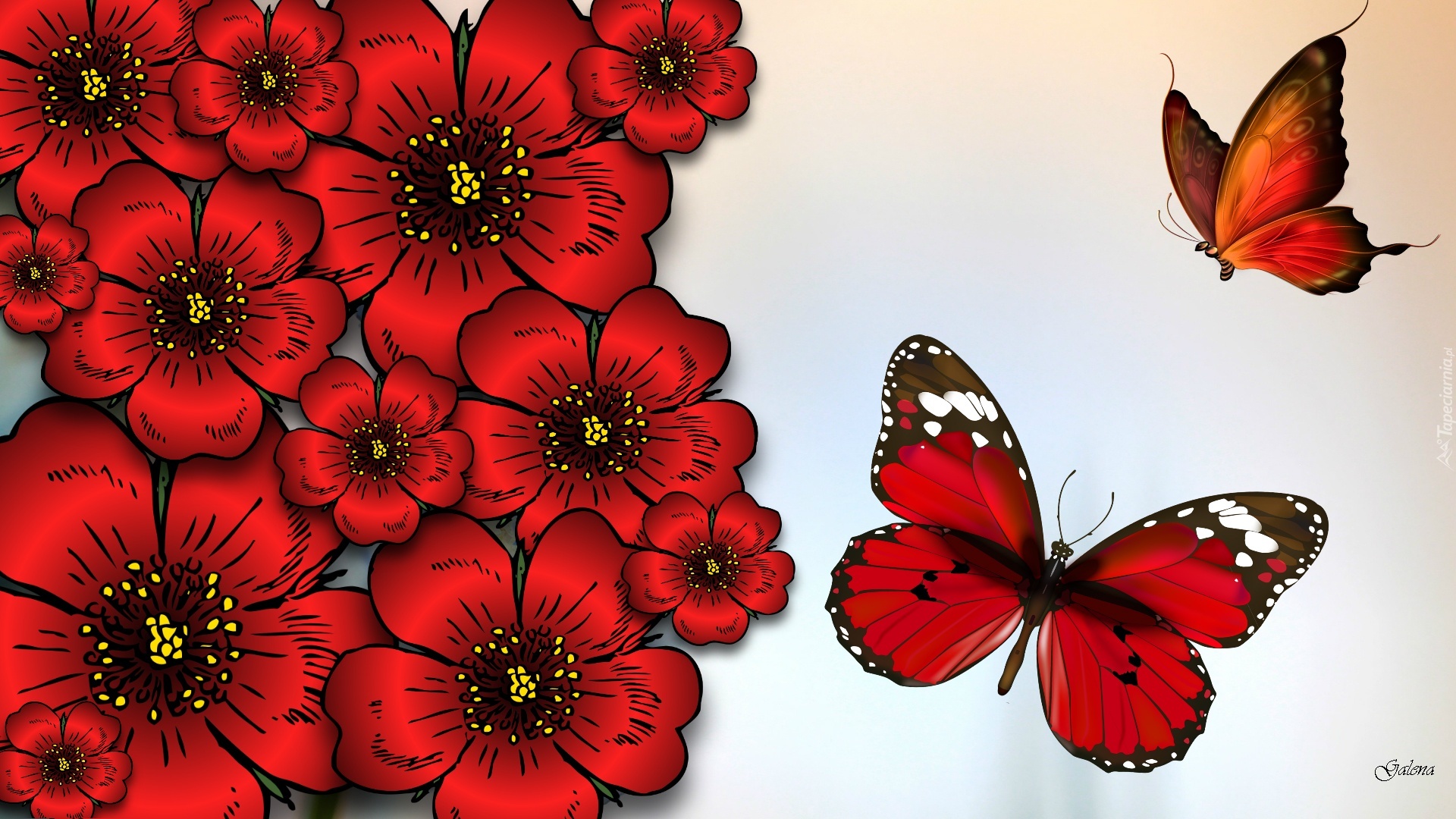 Czerwone, Kwiaty, Motyle