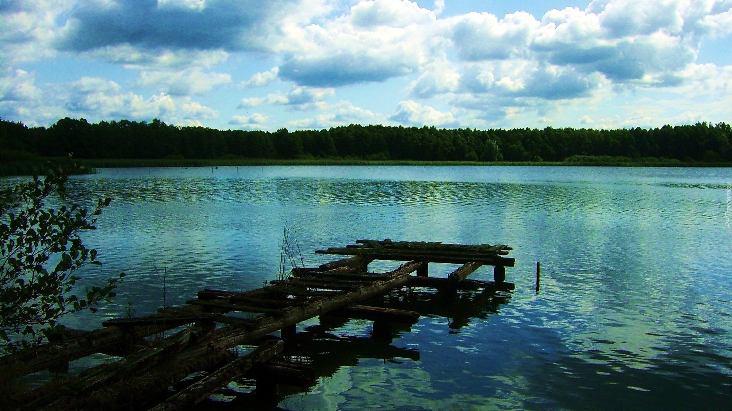 Las, Jezioro, Pomost