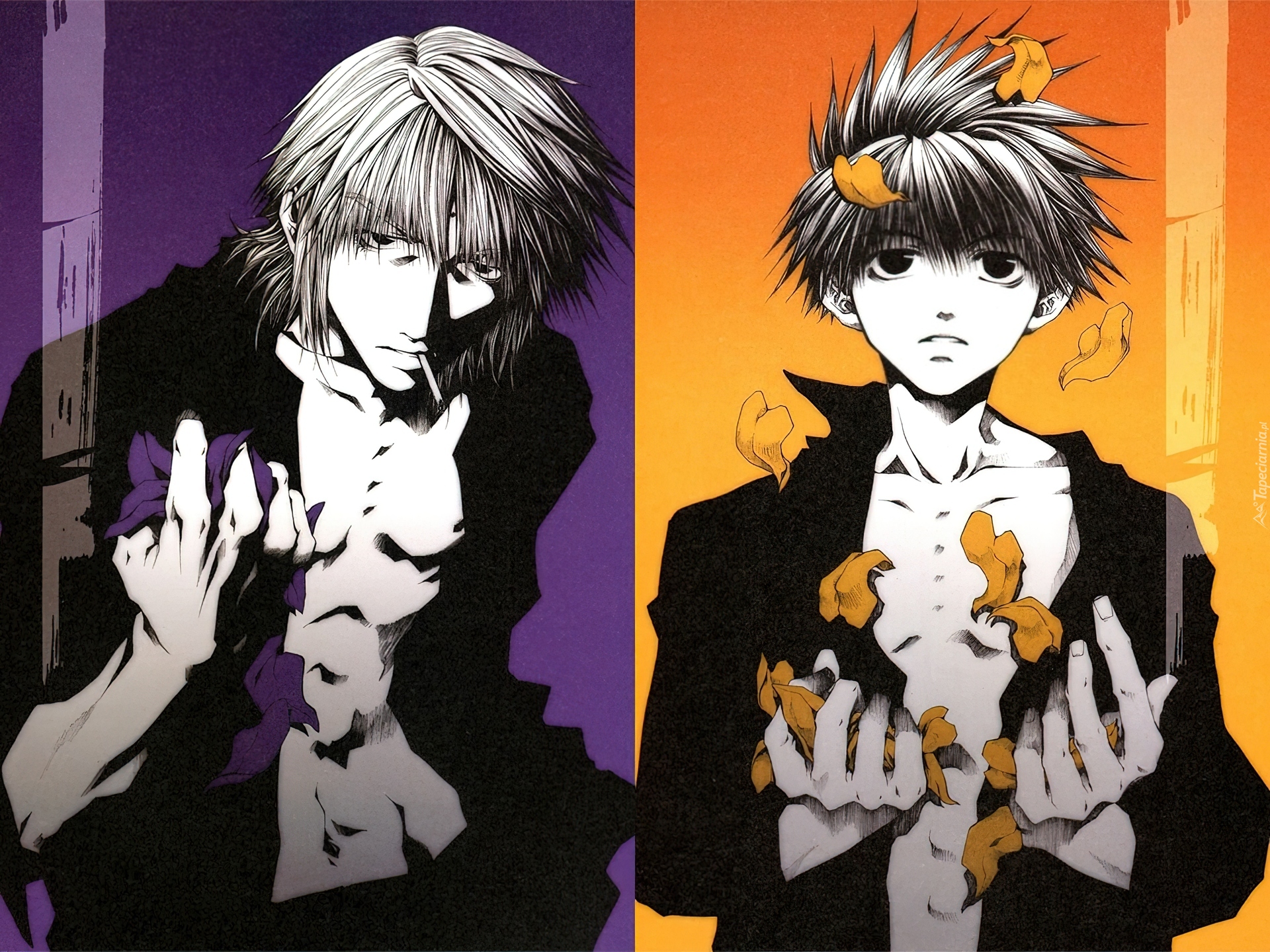 Saiyuki, orange and fiolet