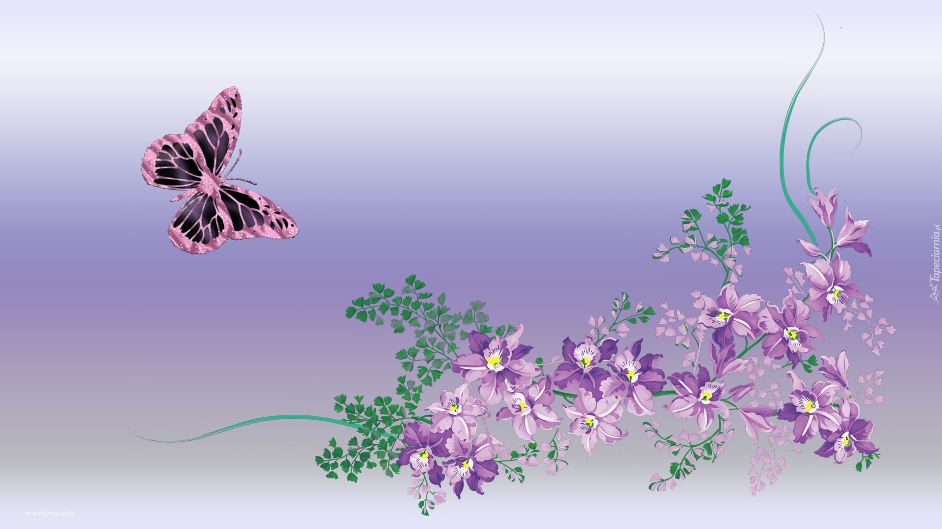 Grafika, Kwiaty, Motyl