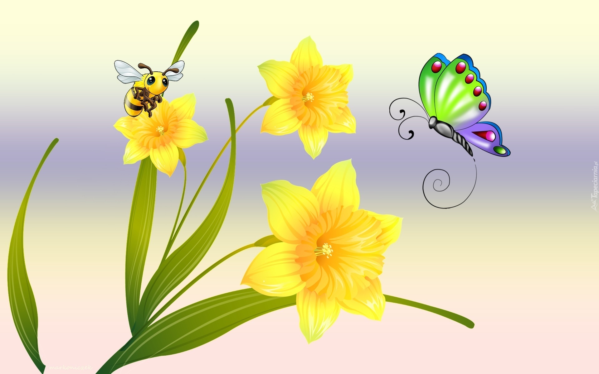 Kwiaty, Żonkile, Motyle