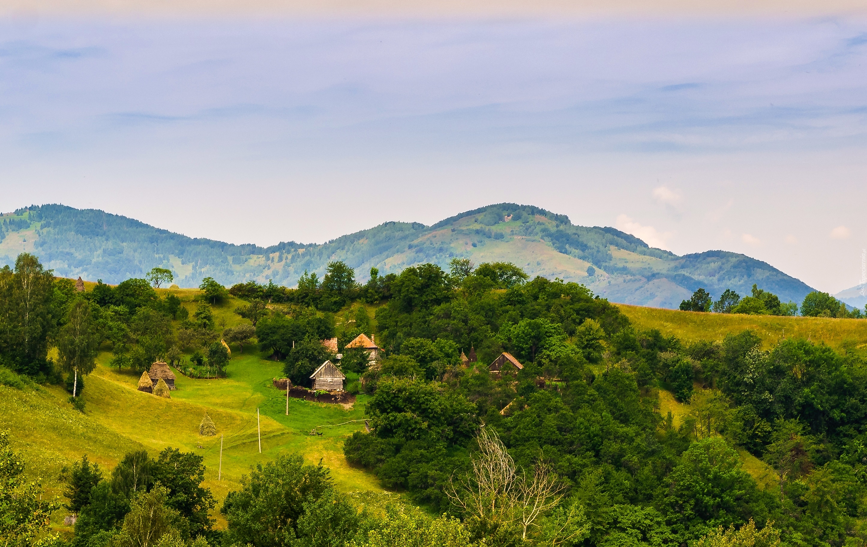 Wyżyna, Zabudowania, Drzewa