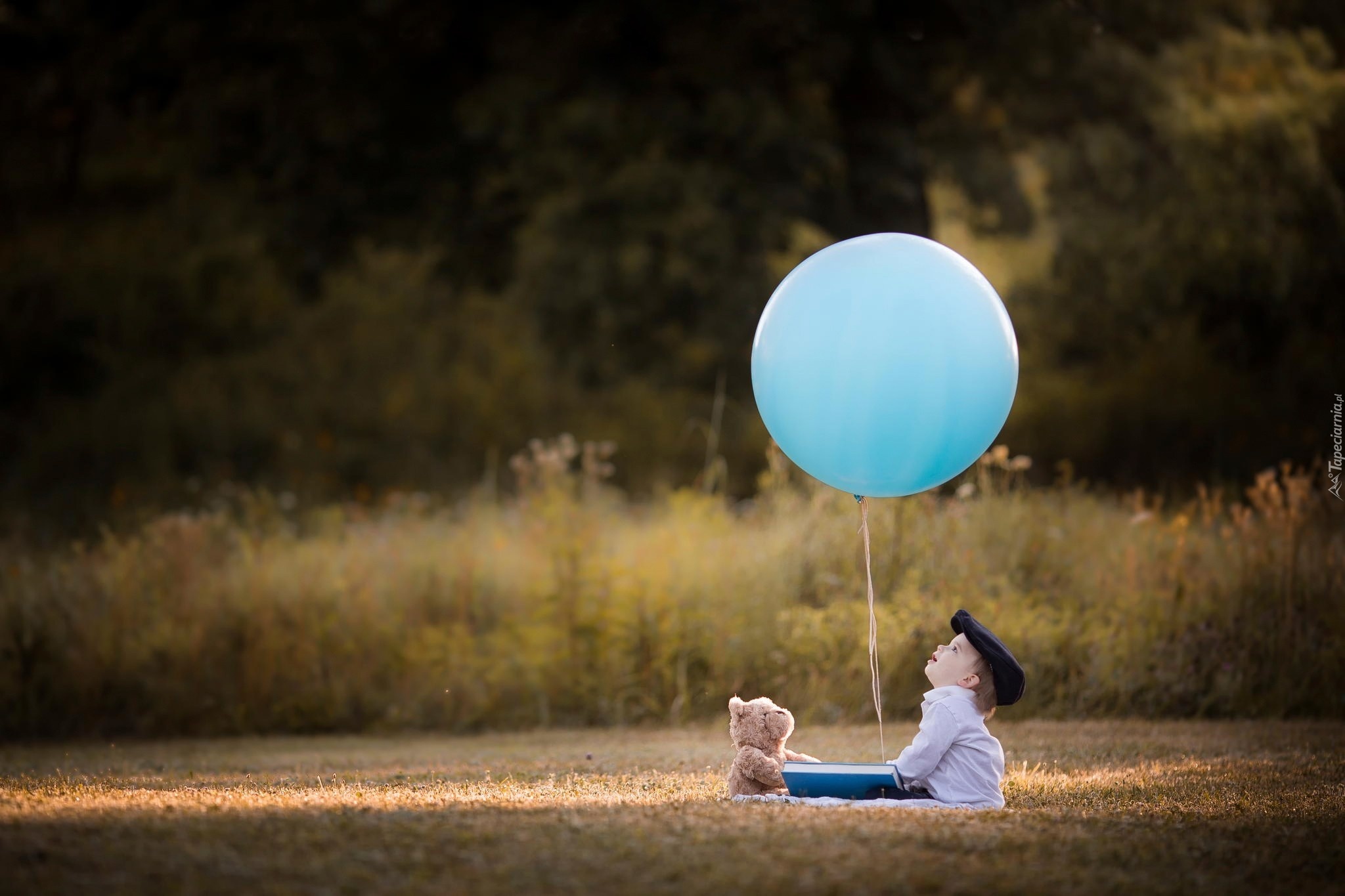 Chłopiec, Balon, Łąka, Las