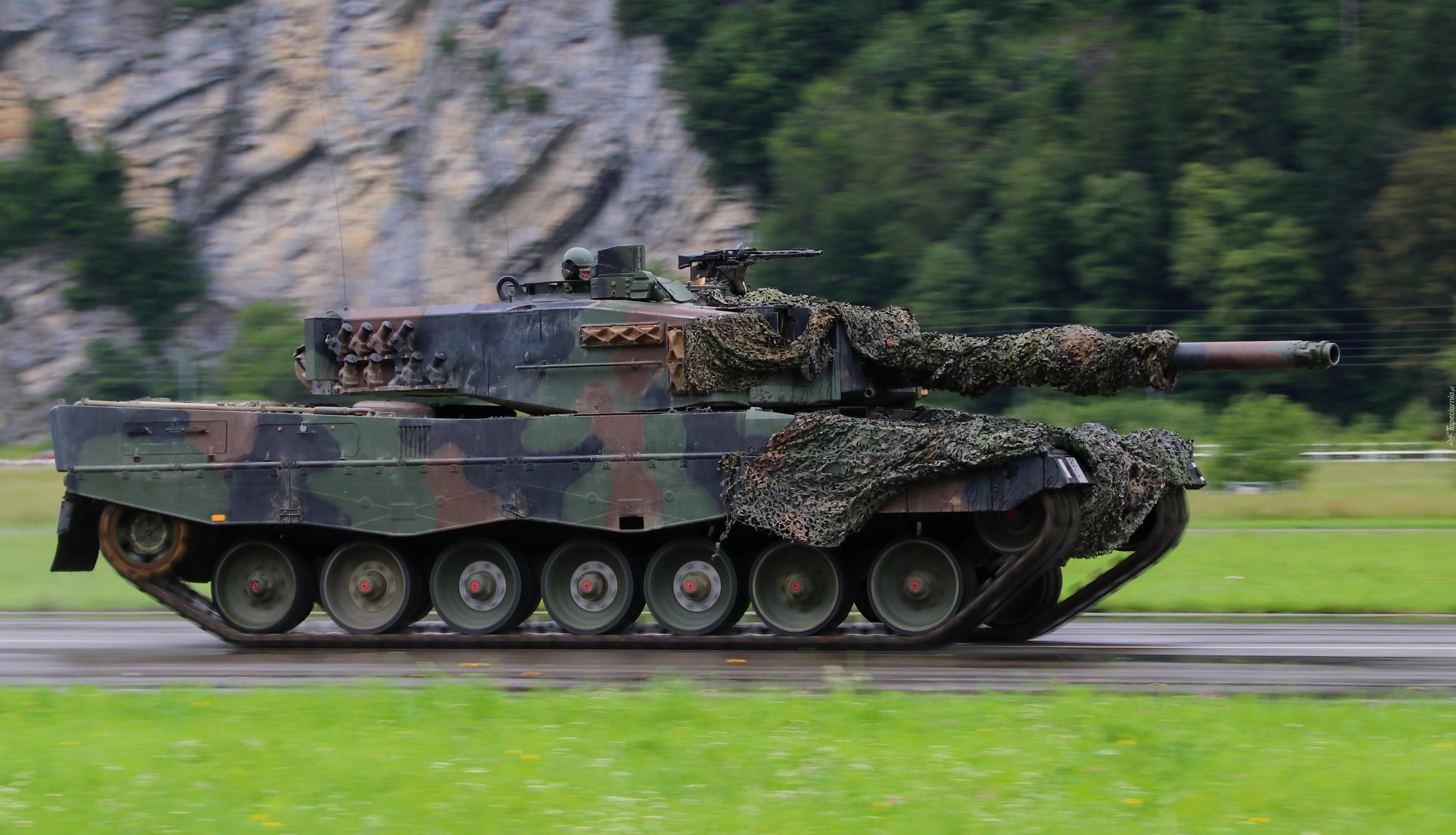 Las, Skała, Droga, Czołg, Leopard 2