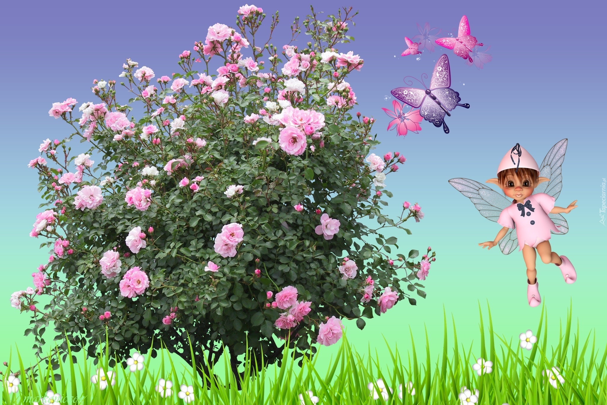 Grafika, Motylki, Drzewo, Kwiaty