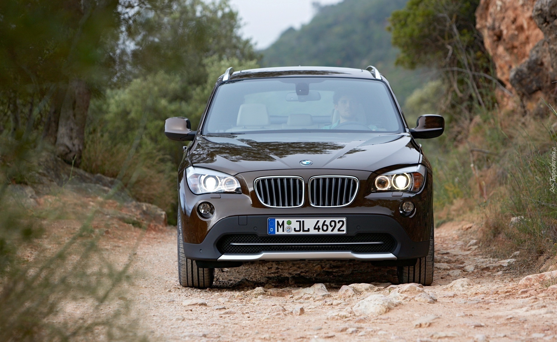 BMW, Samochód, X1