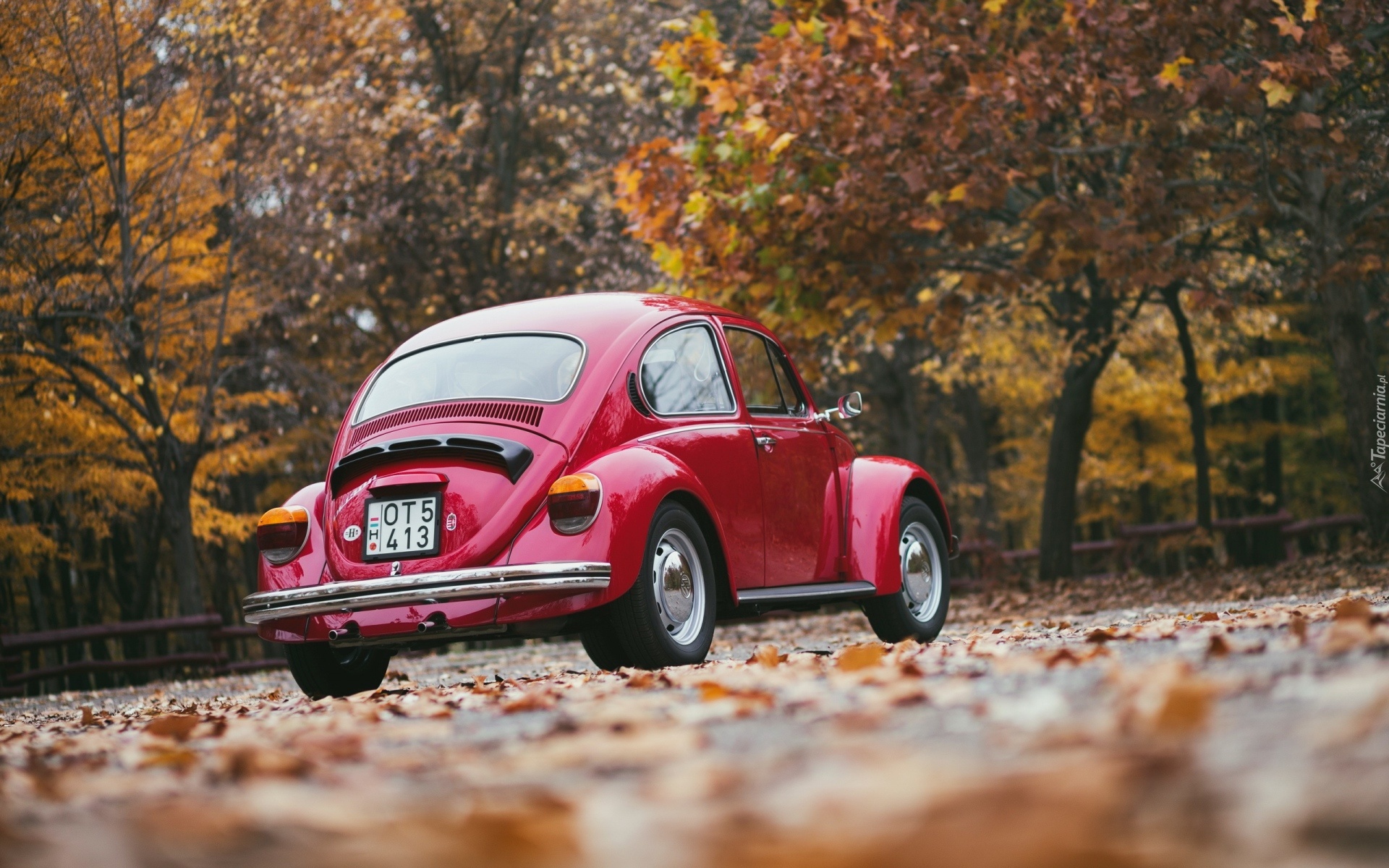 Jesień, Drzewa, Samochód, Volkswagen, Garbus