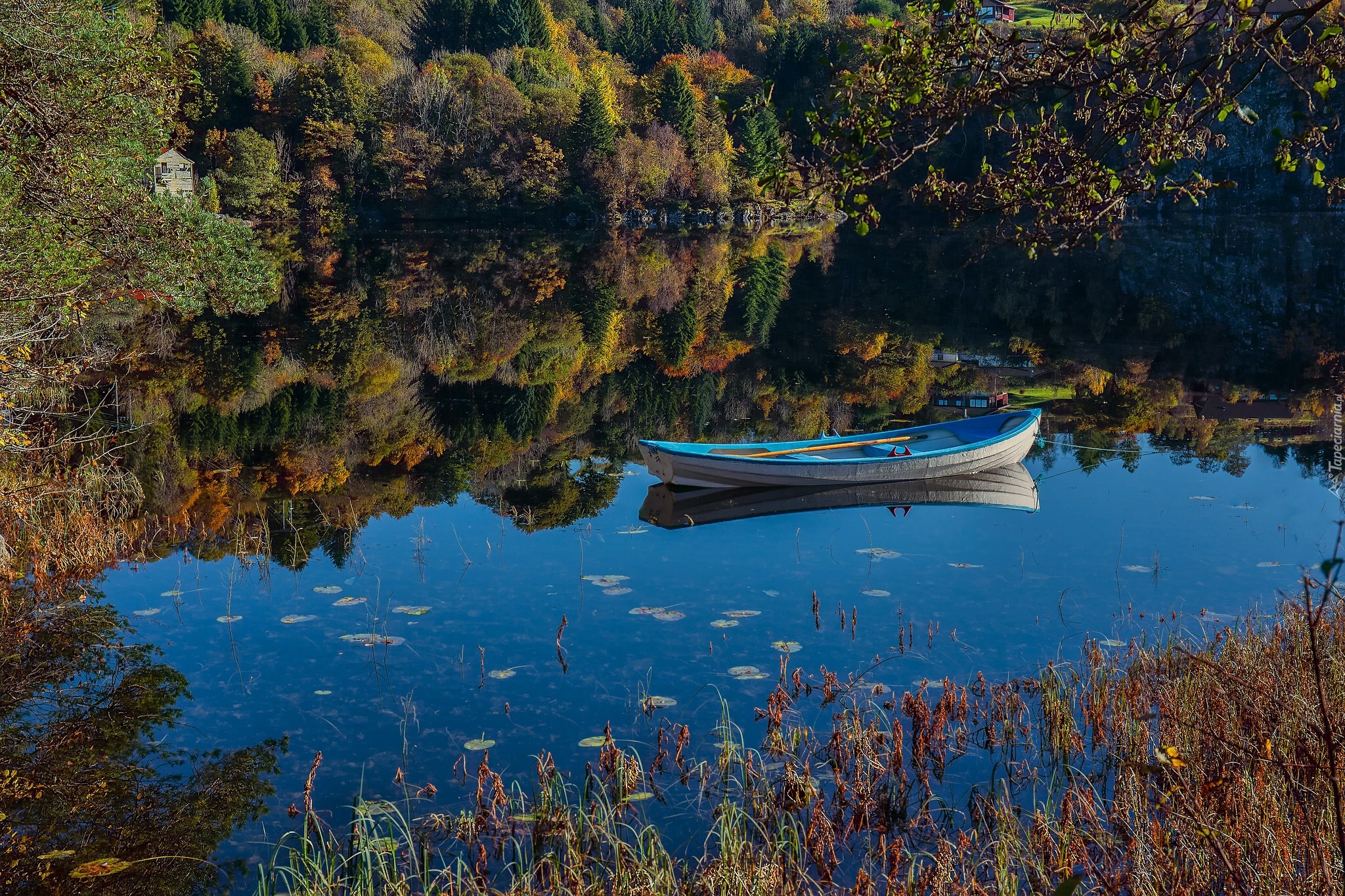 Norwegia, Jezioro, Łódka, Las, Odbicie