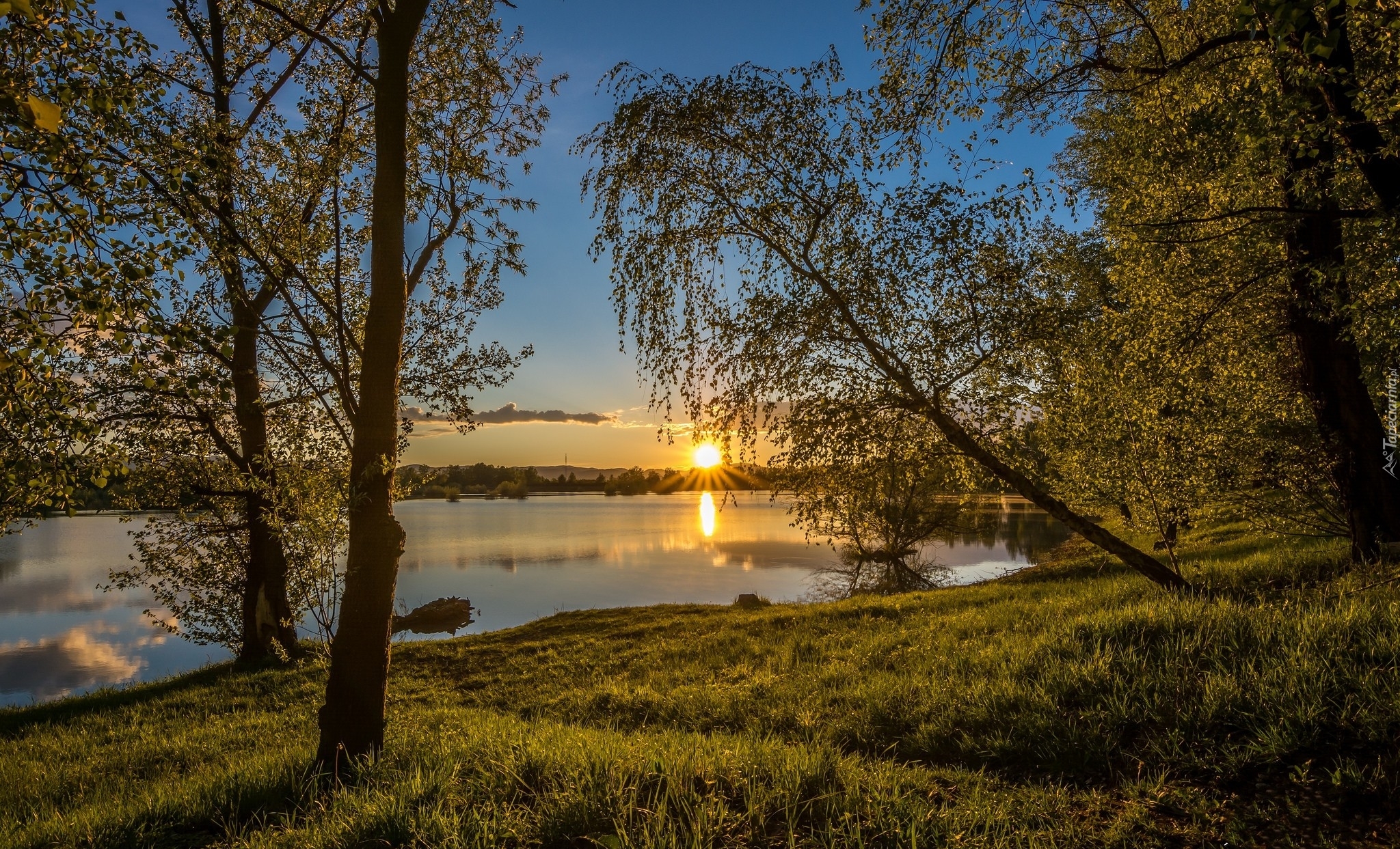 Jezioro, Drzewa. Wschód, Słońca