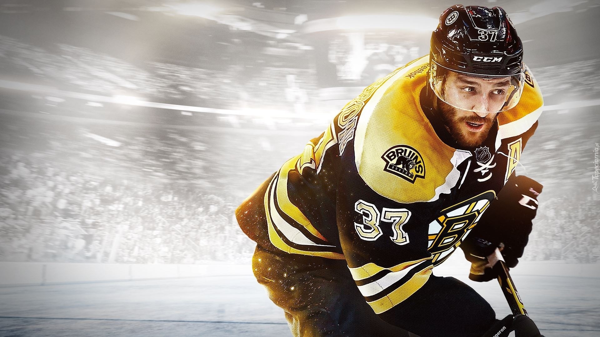 Hokej, Patrice Bergeron