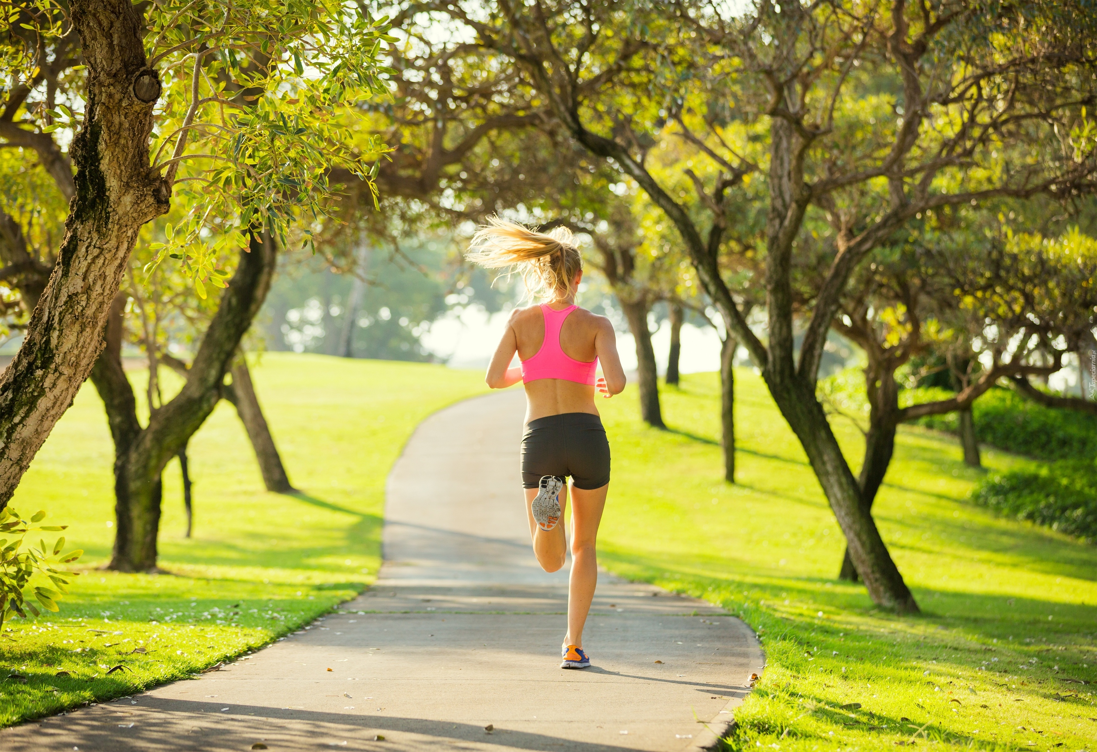 Park, Aleja, Drzewa, Kobieta, Jogging