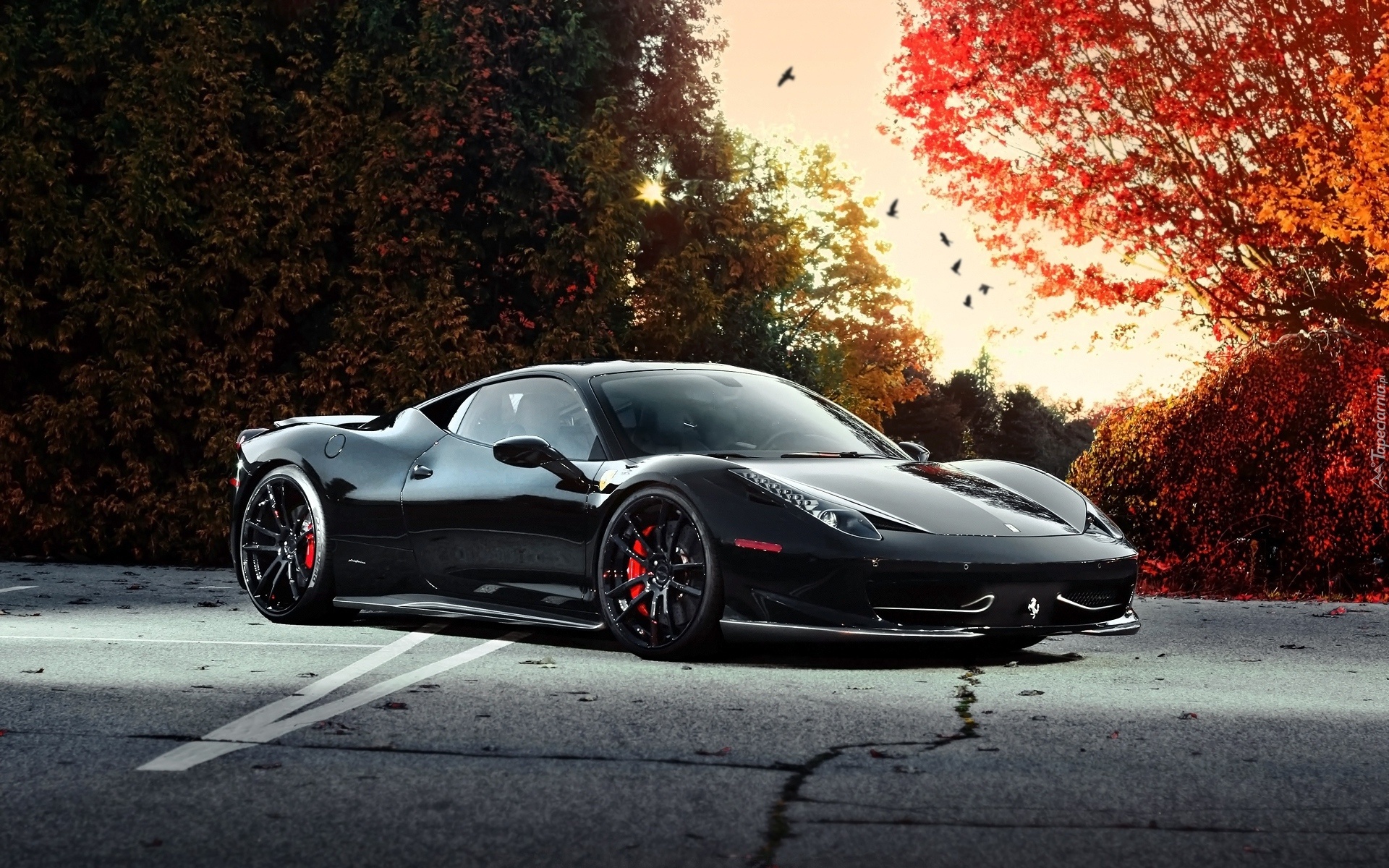 Jesień, Drzewa, Droga, Czarny, Sportowy, Samochód, Ferrari, 458 Italia