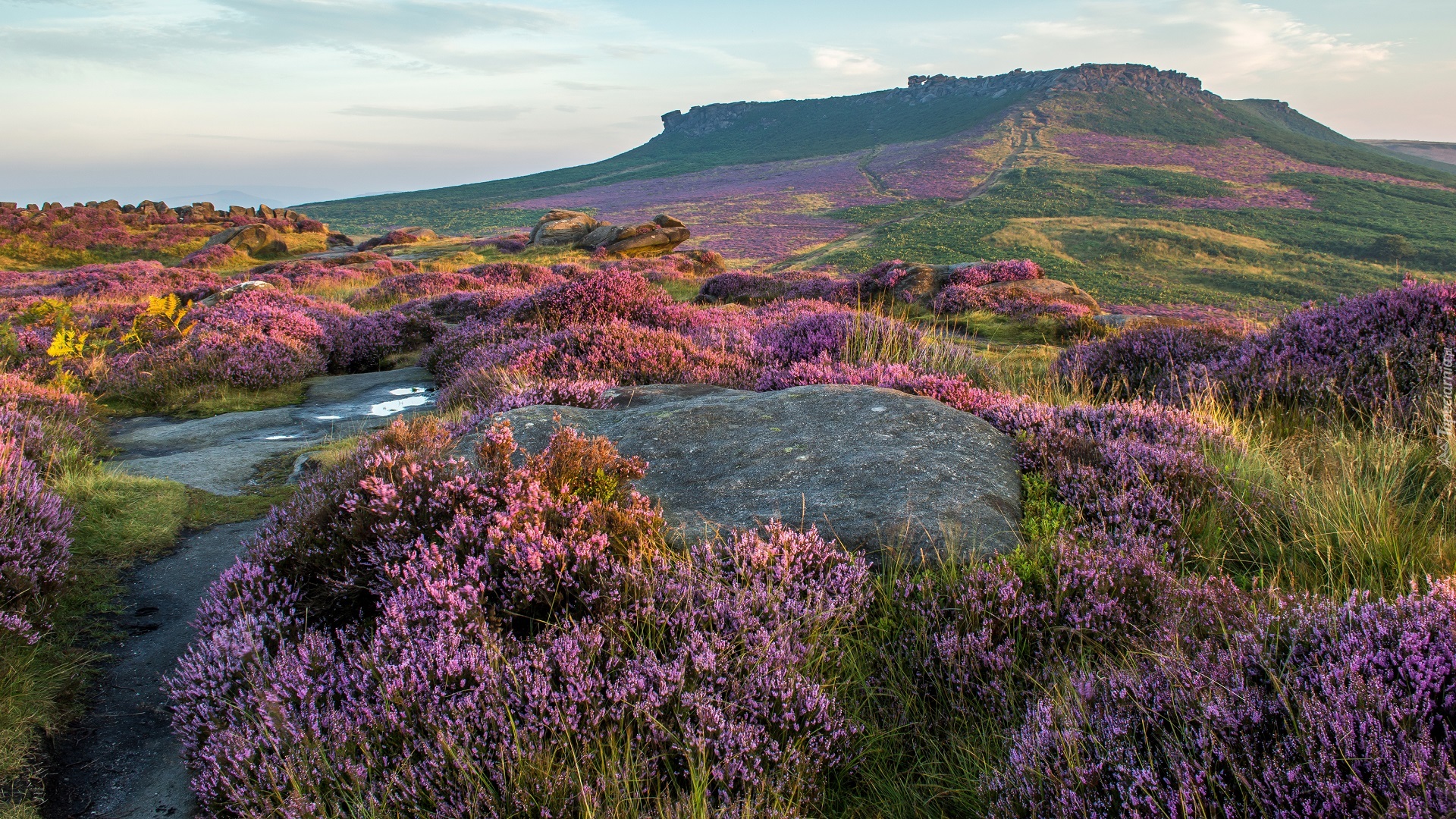 Anglia, Park Narodowy Peak District, Wzgórza, Skały, Wrzosy, Wrzosowisko