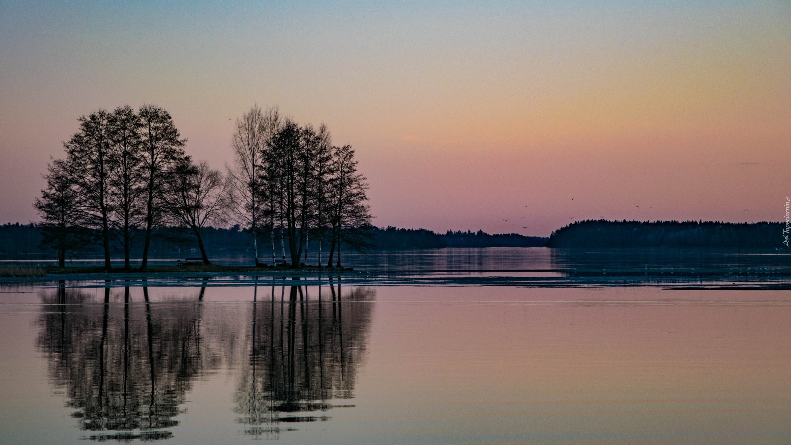 Wschód, Słońca, Jezioro, Las, Lustrzane, Odbicie