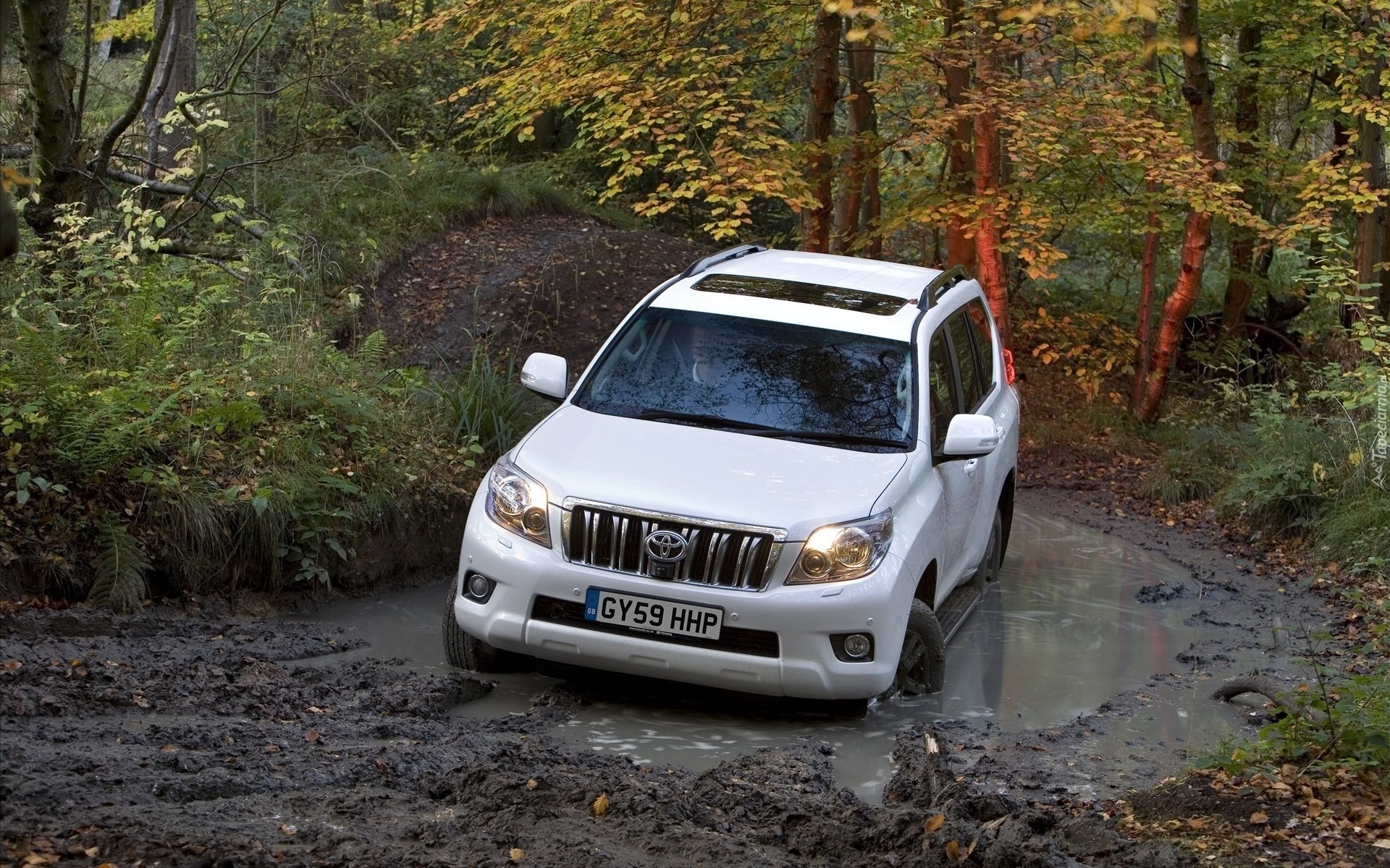 Toyota, Samochód, Land Cruiser