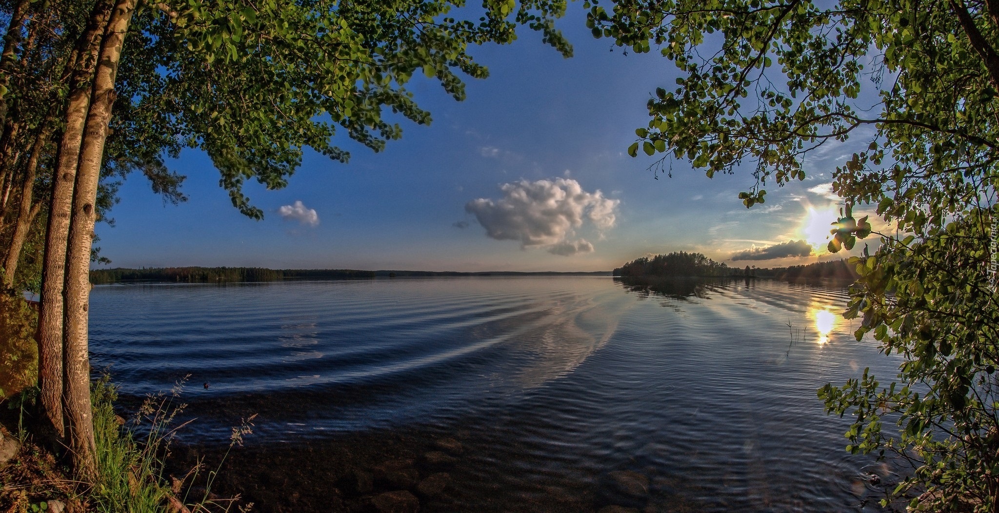 Jezioro, Drzewa, Wschód, Słońca