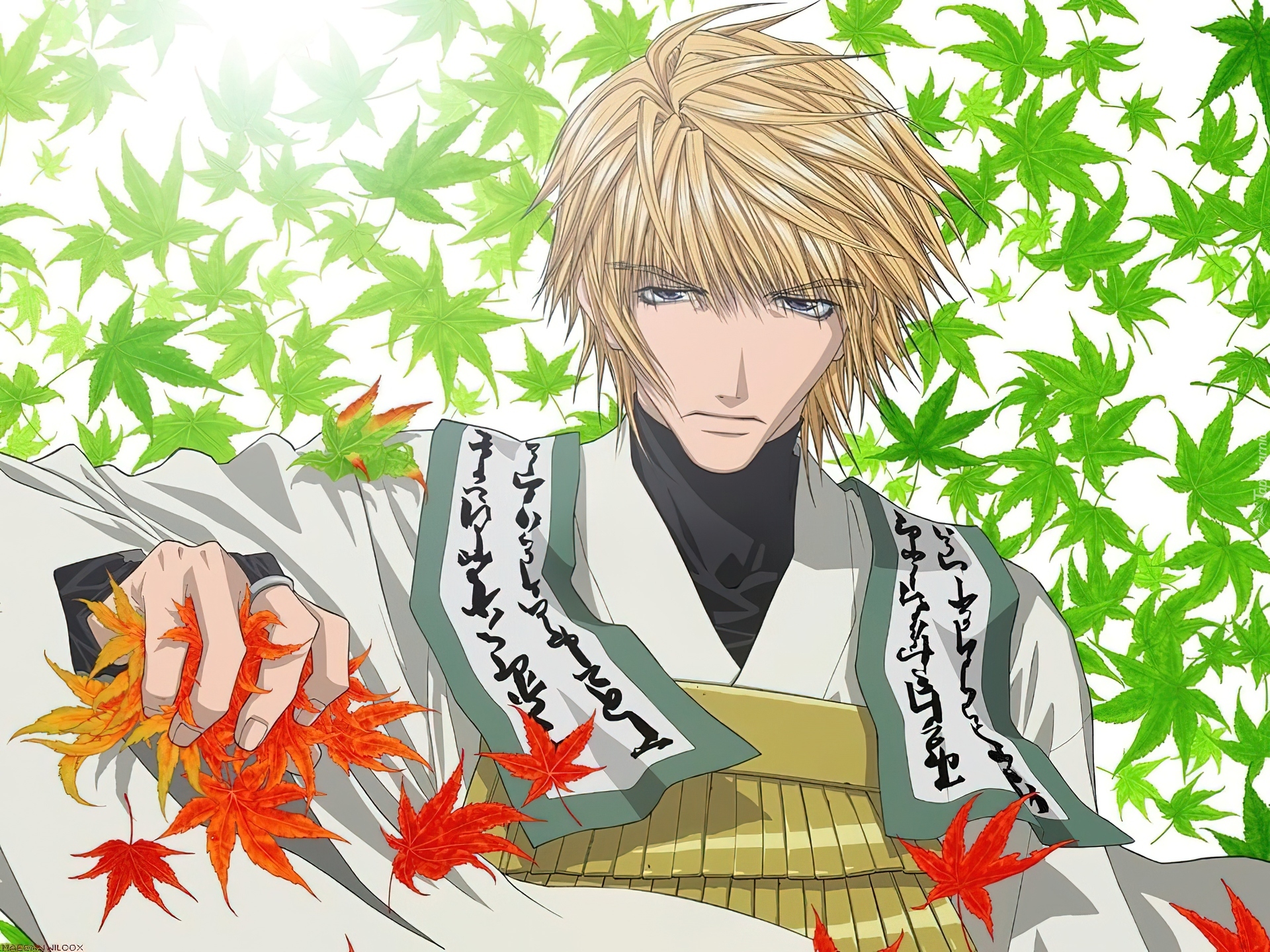 Saiyuki, facet, liście
