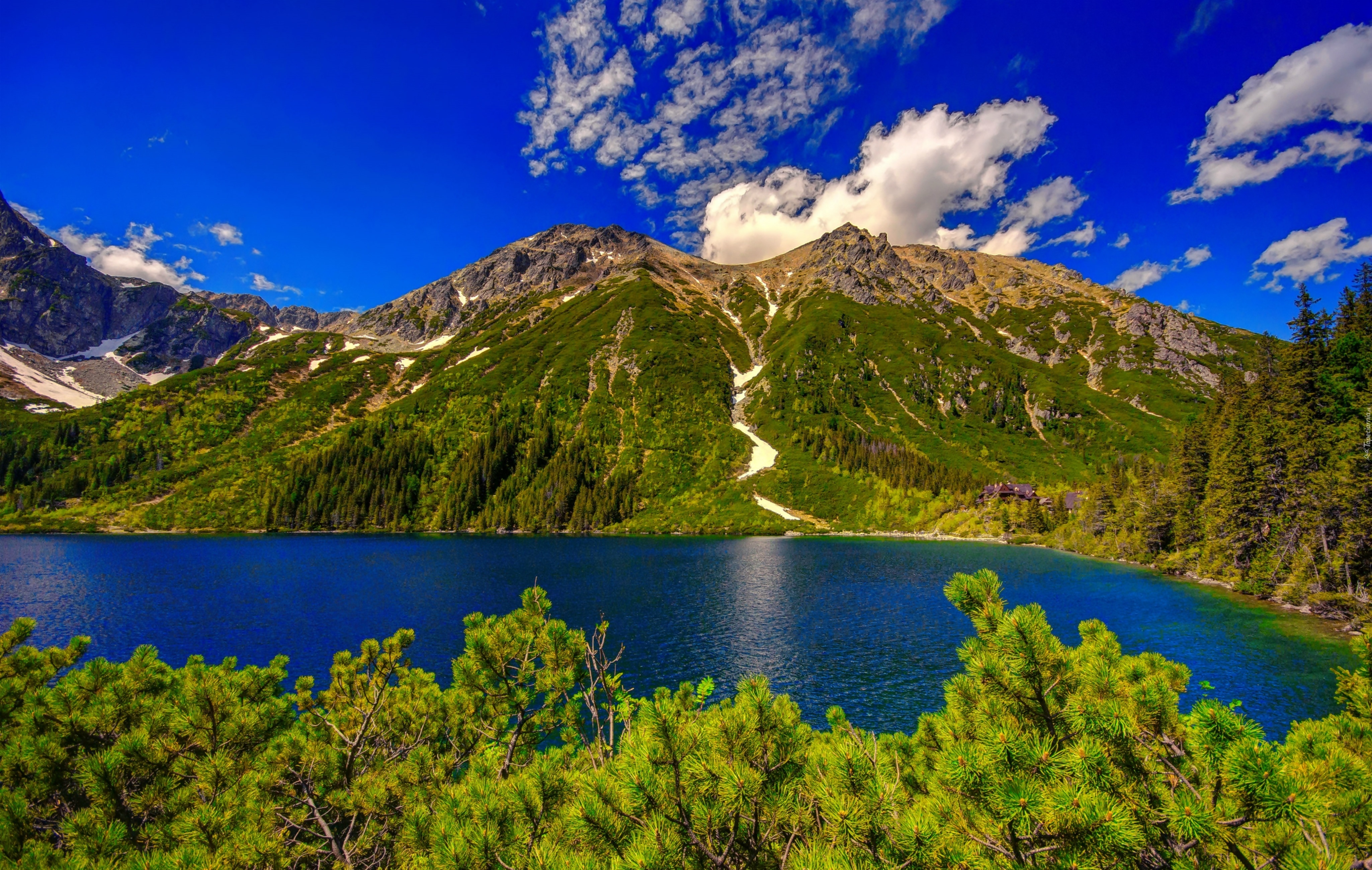 Góry, Jezioro, Lasy, Widok, Na, Tatry