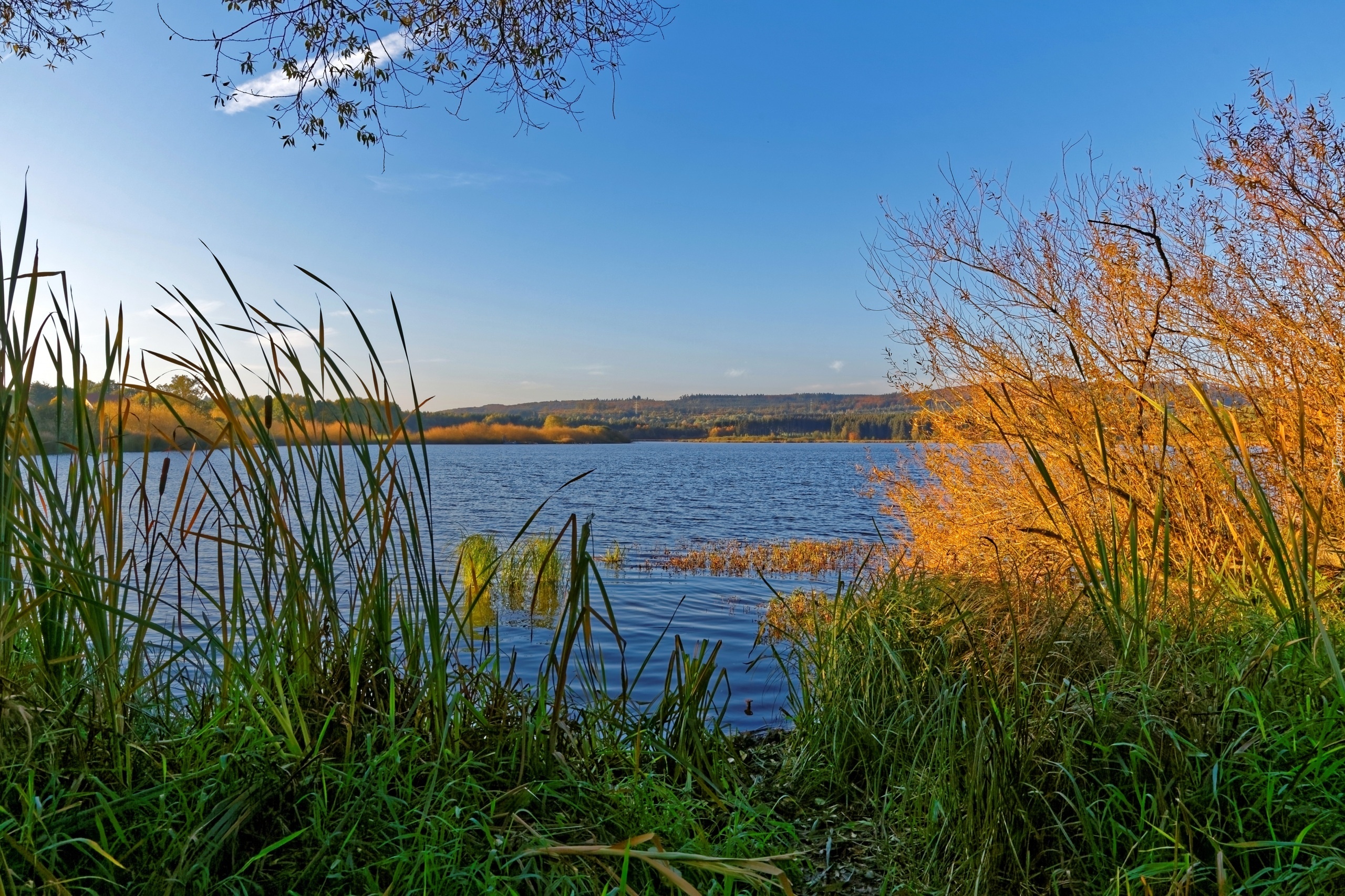 Niemcy, Brzeg, Rzeki, Rośliny, Jesień