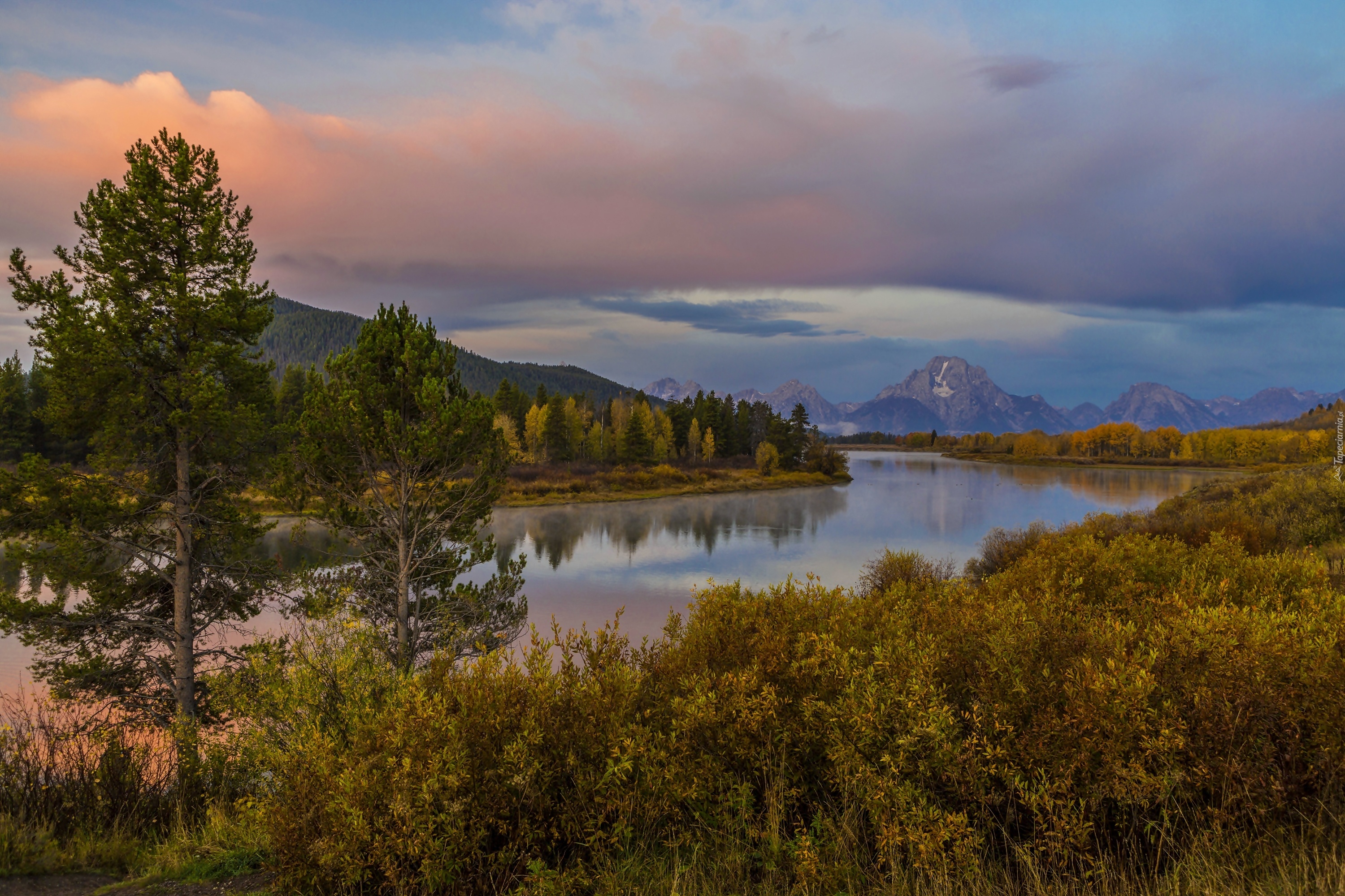 Stany Zjednoczone, Stan Wyoming, Park Narodowy Grand Teton, Góry, Drzewa