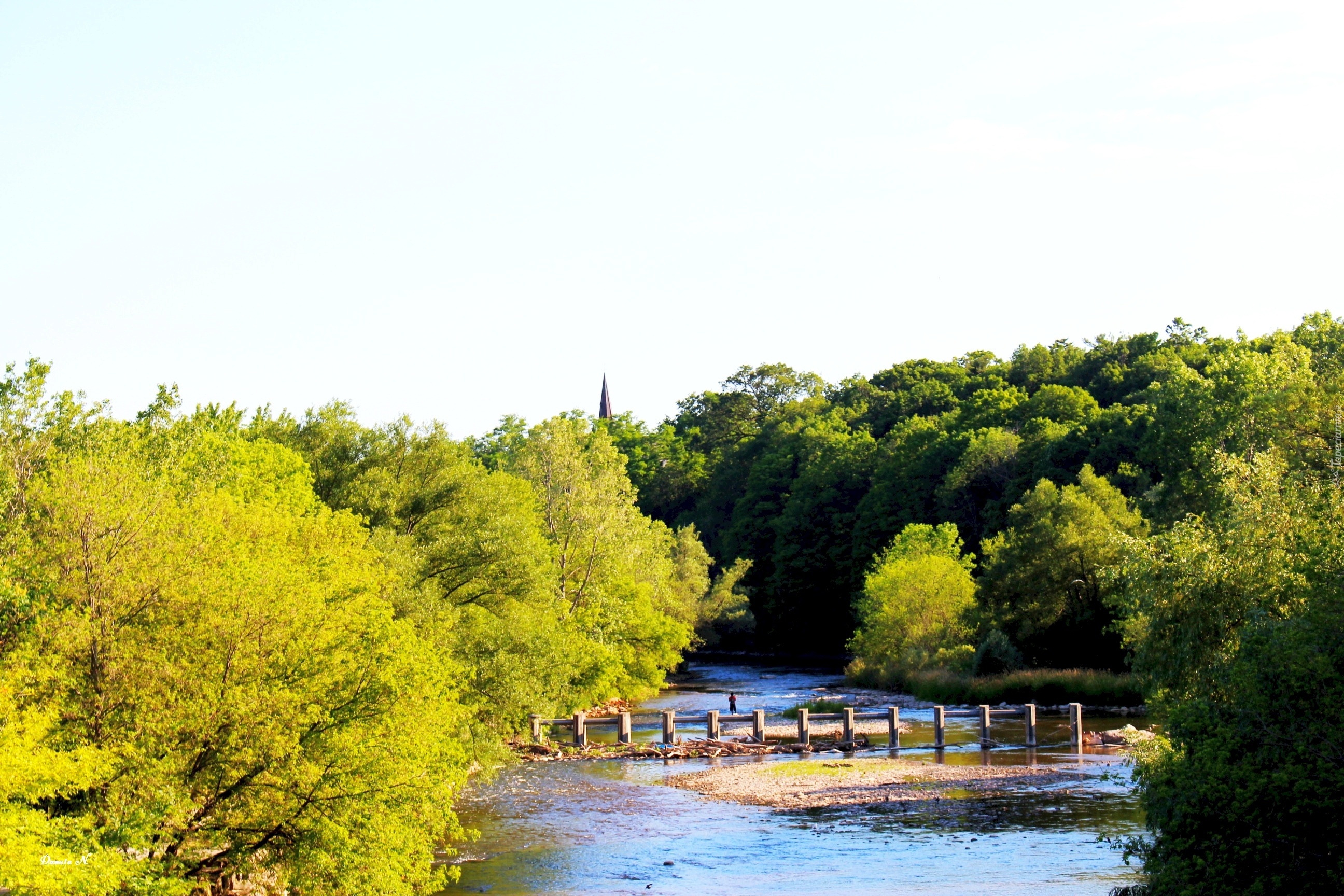 Rzeka, Credit River, Ontario, Kanada, Drzewa, Lato, Widok