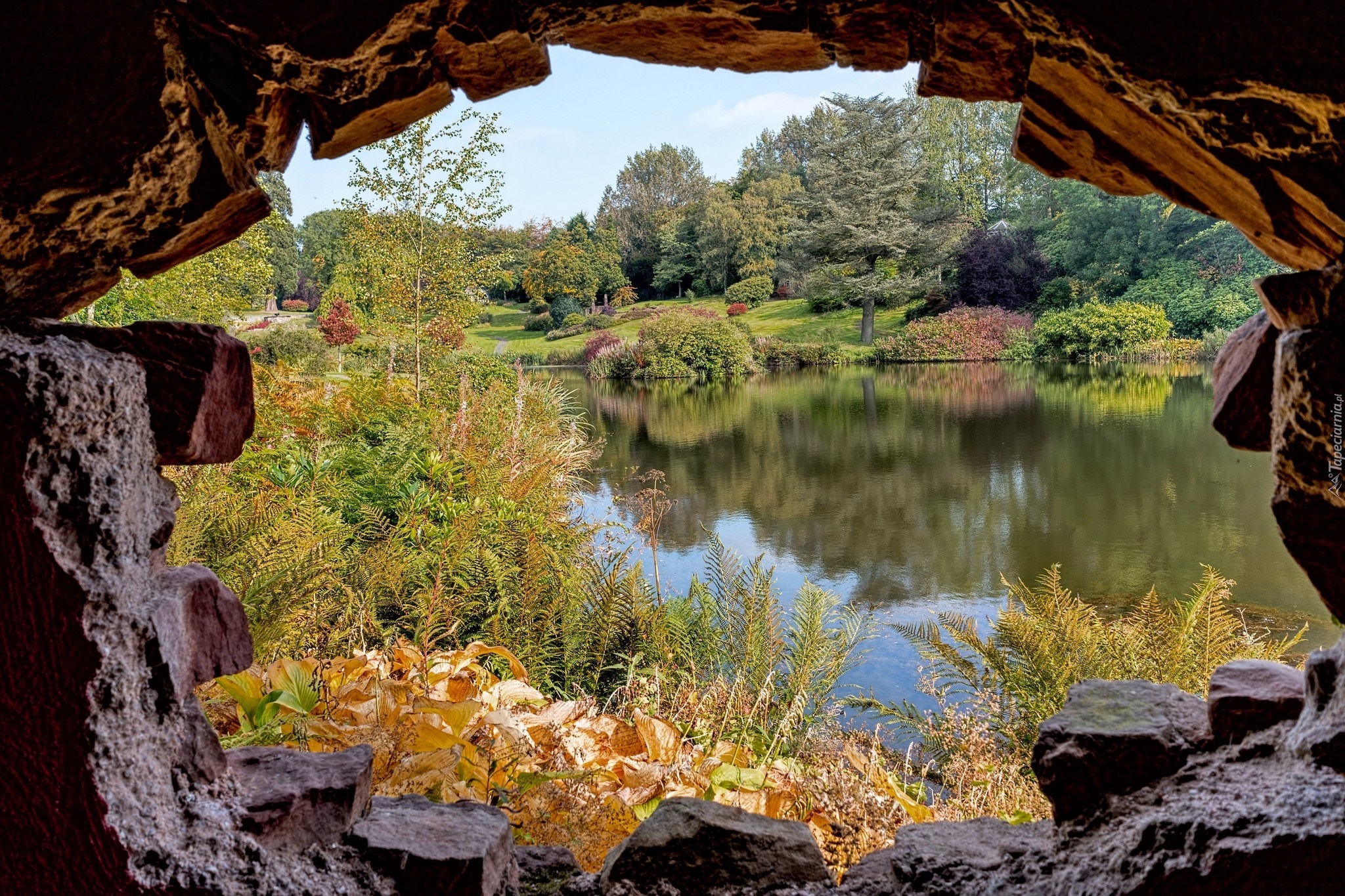 Park, Krzewy, Rzeka, Mur