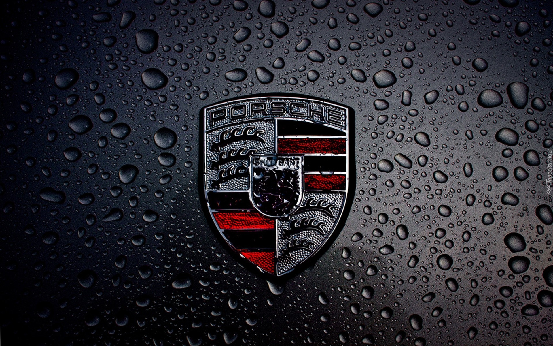 Porsche, Logo