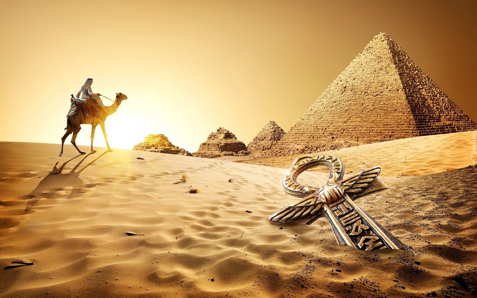 Egipt, Pustynia, Piramidy, Wielbłąd
