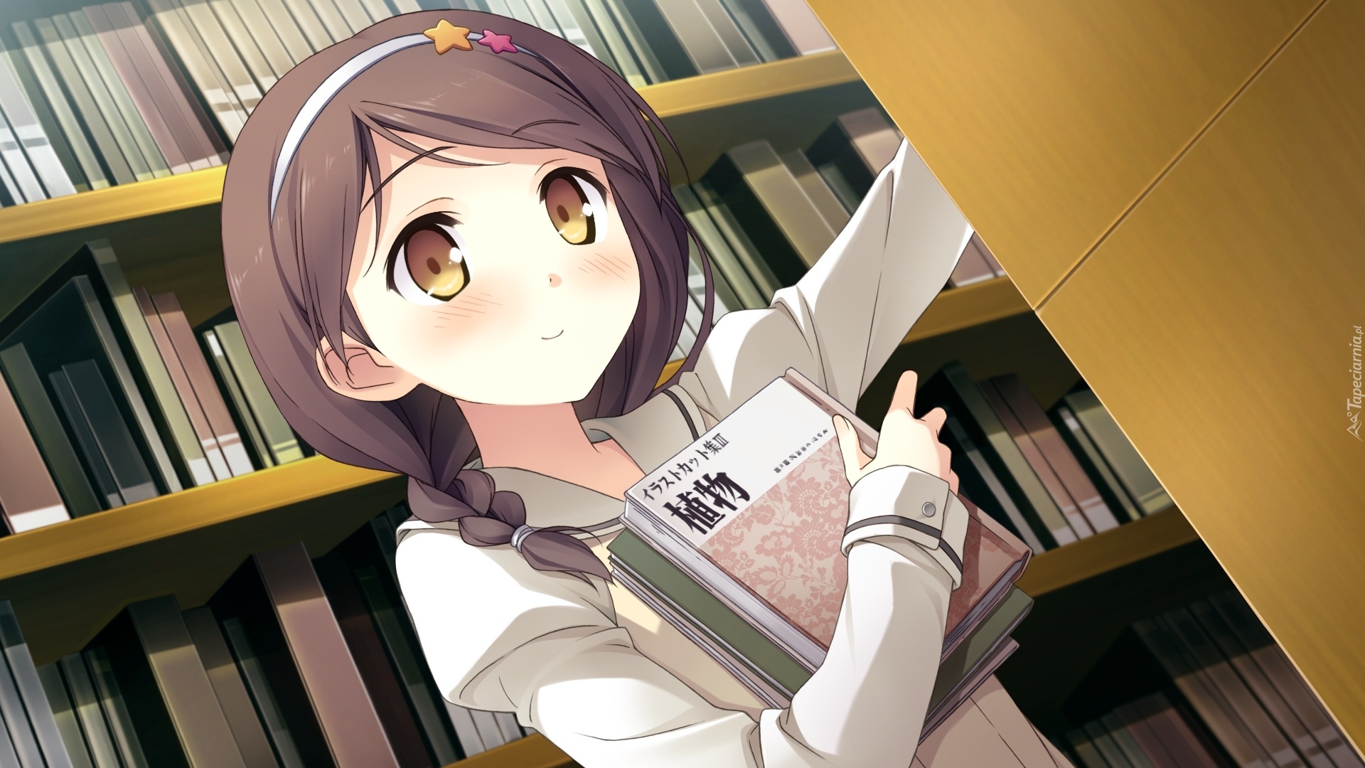 Dziewczyna, Książka, Biblioteka, Manga, Anime