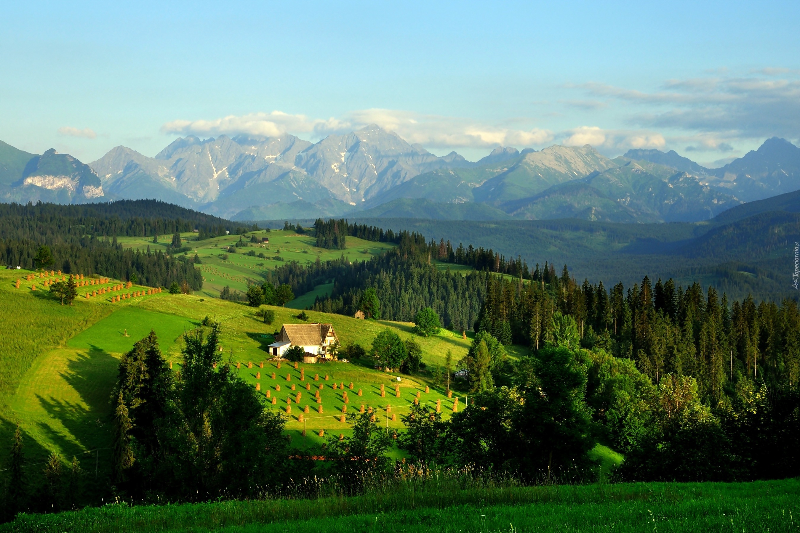 Góry, Lasy, Łąki, Pola, Domy, Tatry, Polska