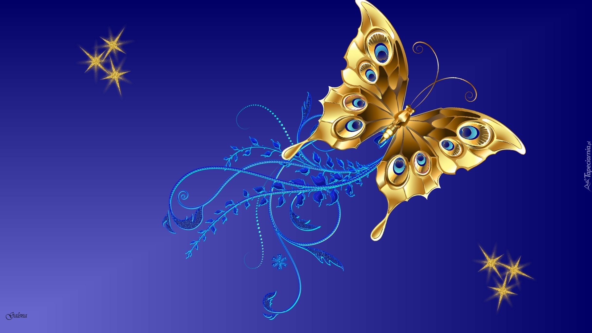 Motyl, Ornament, Gwiazdy, Grafika 2D