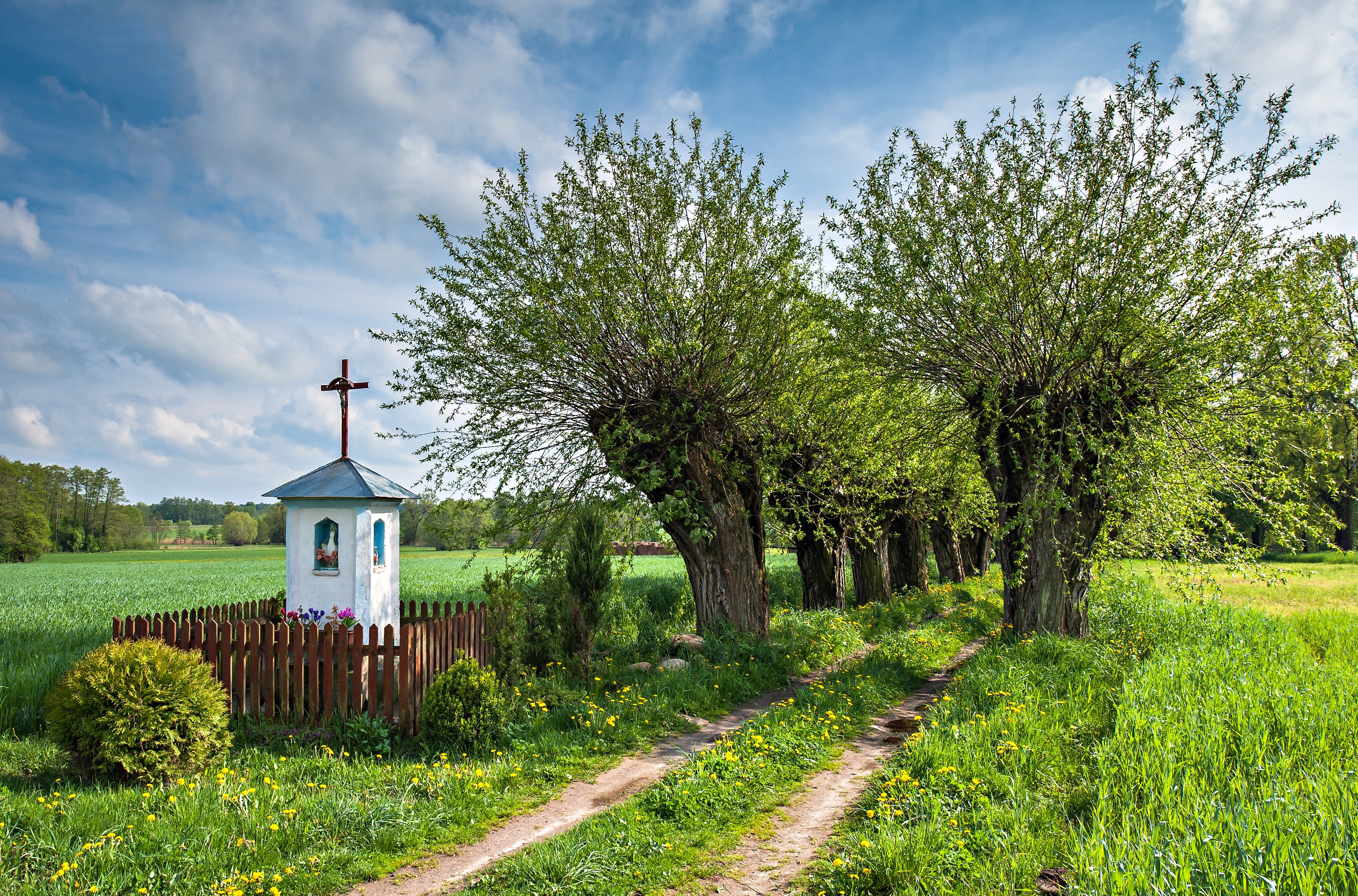 Droga, Wierzby, Kapliczka, Pola, Polska