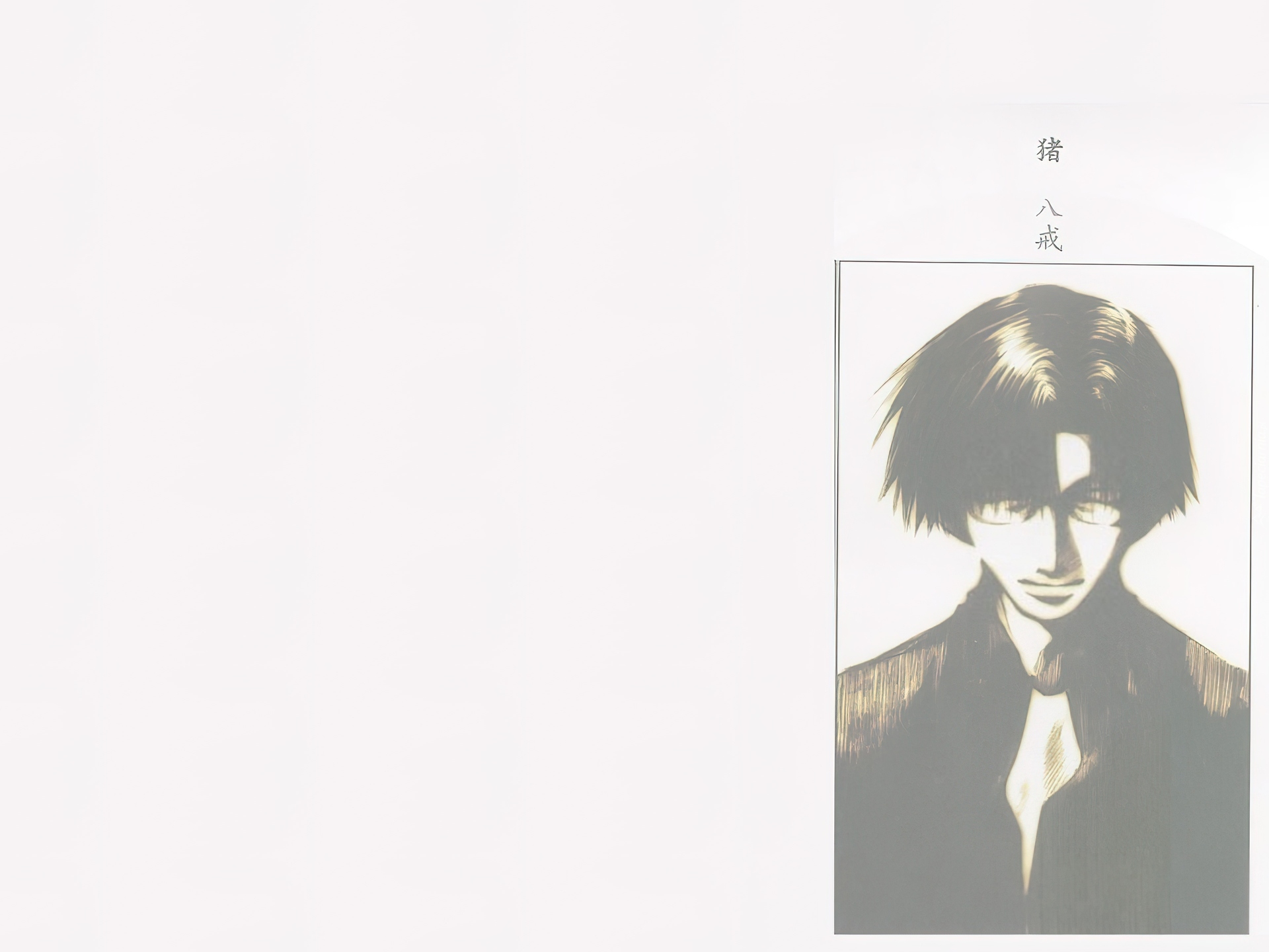 Saiyuki, fotografia, facet