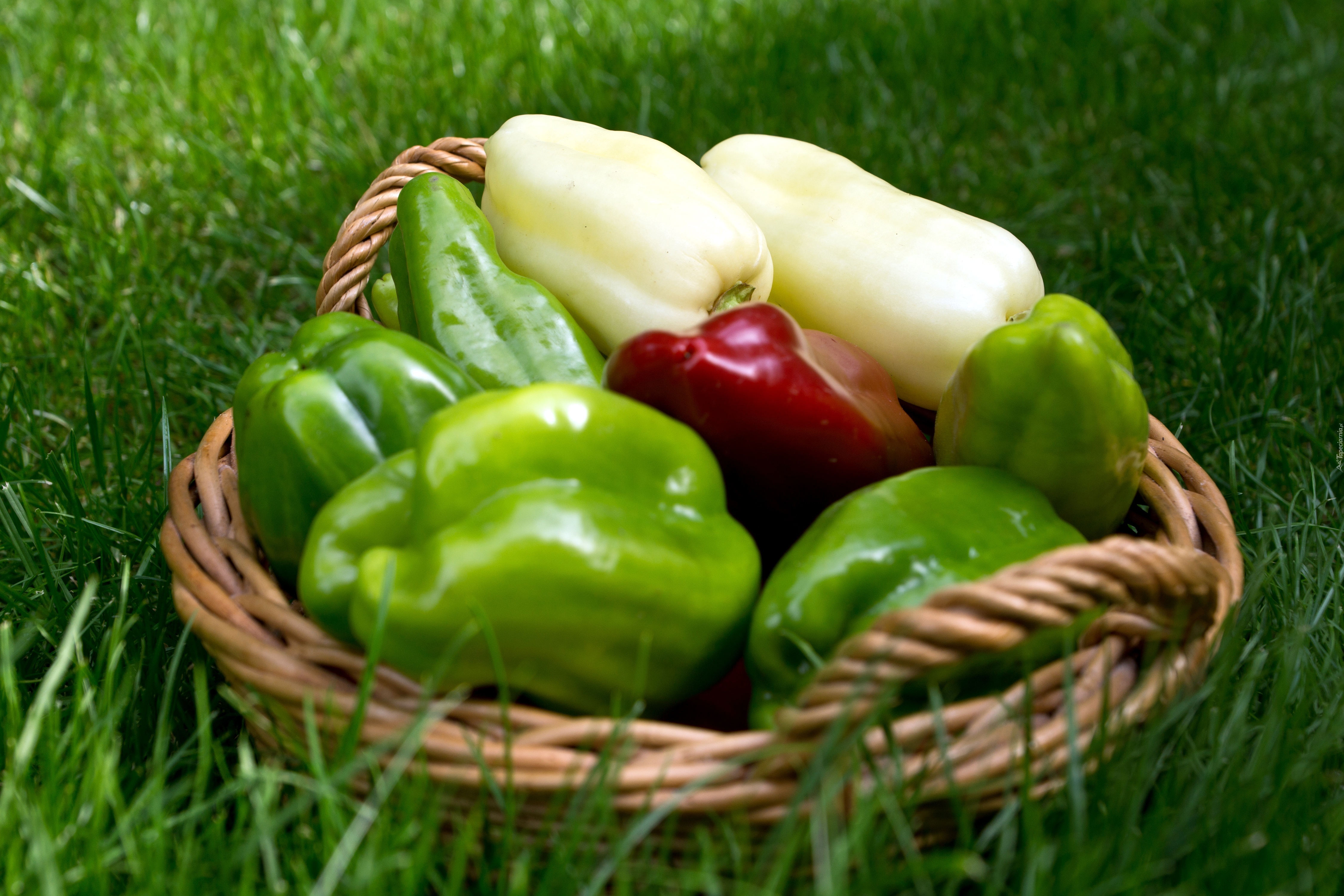 266726_papryka_kolorowa_kosz.jpg